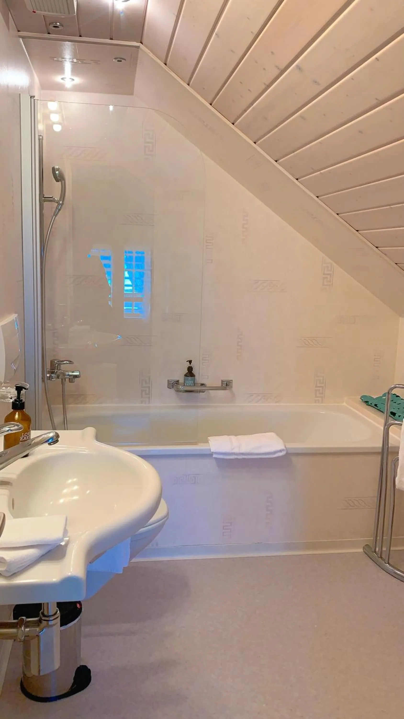 Hotel Friedheim Weggis