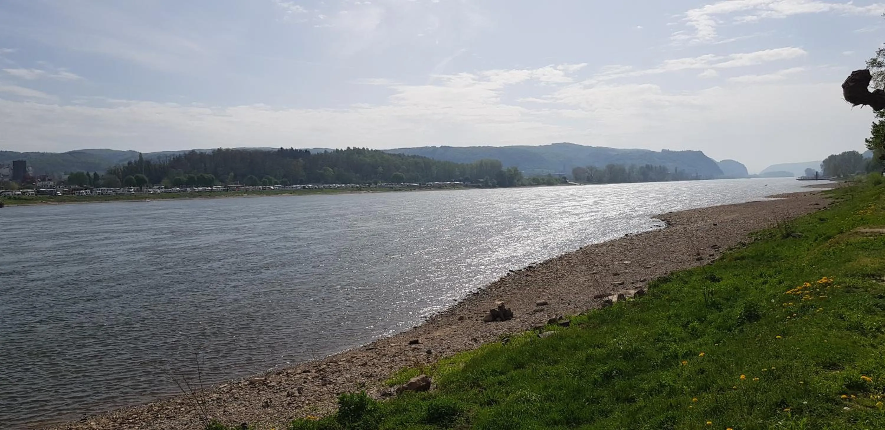 River view in Hotel Rhein-Residenz