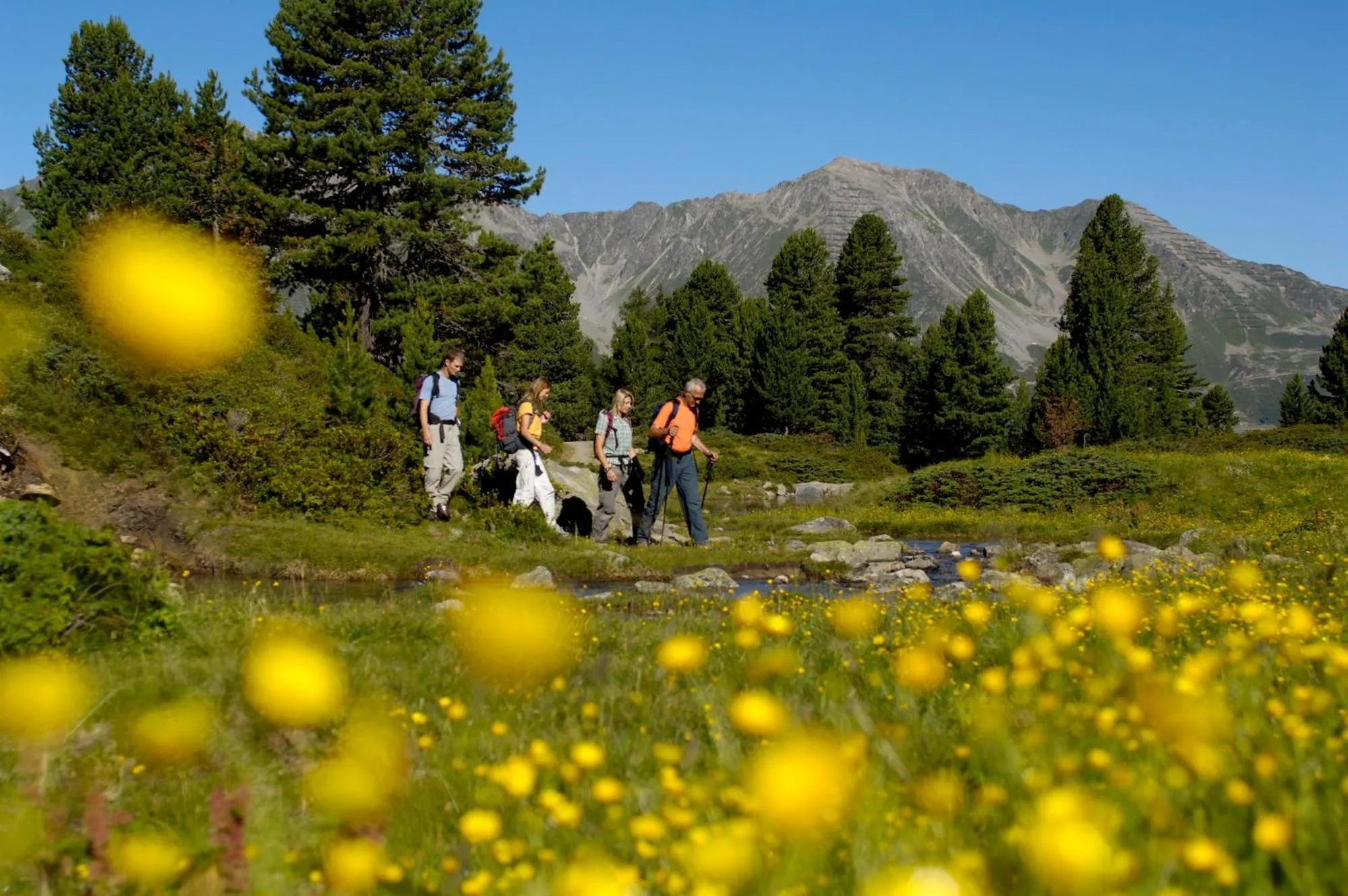 Hiking in Hotel Lärchenhof