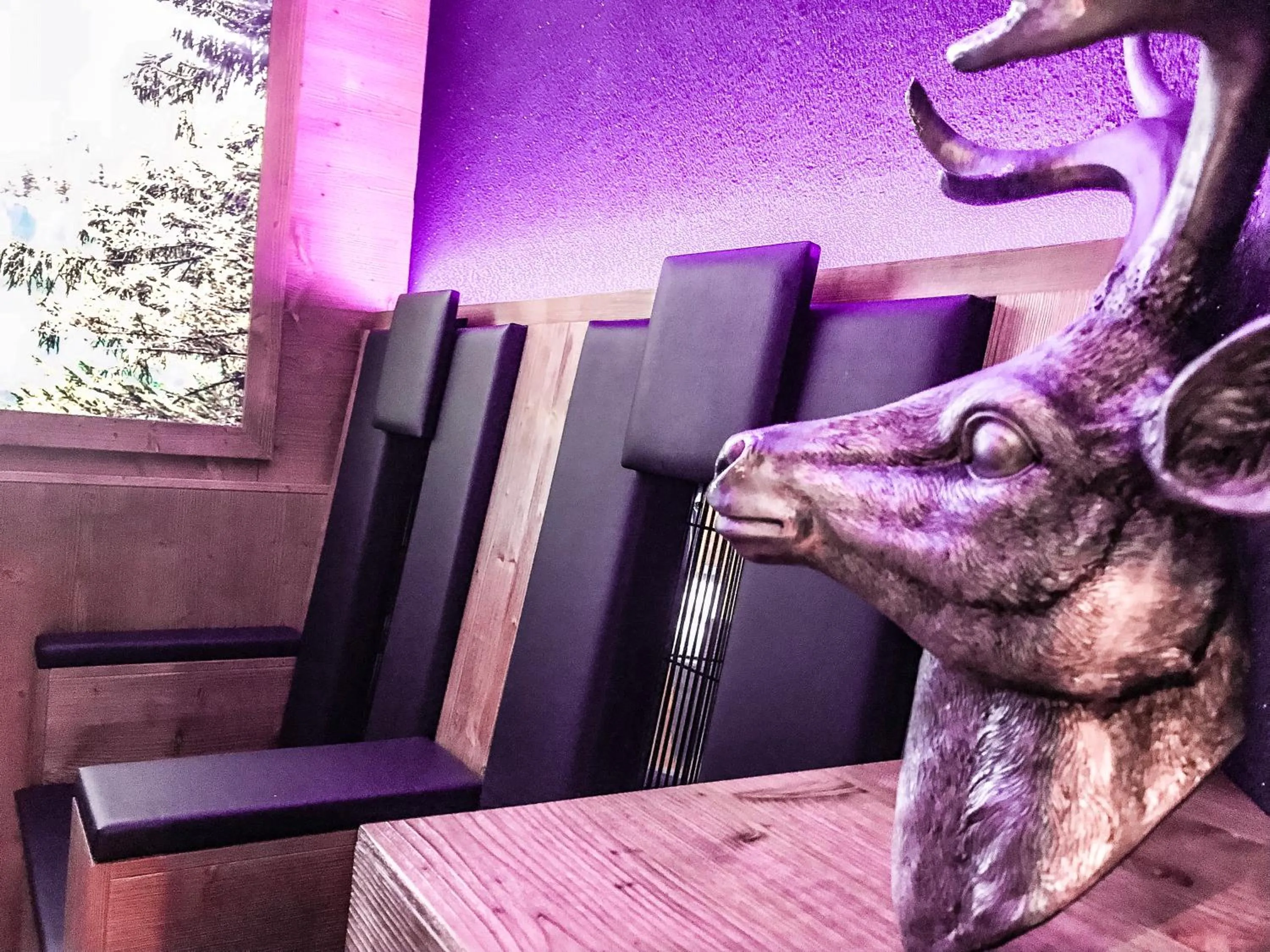 Swimming pool in Hotel Lärchenhof