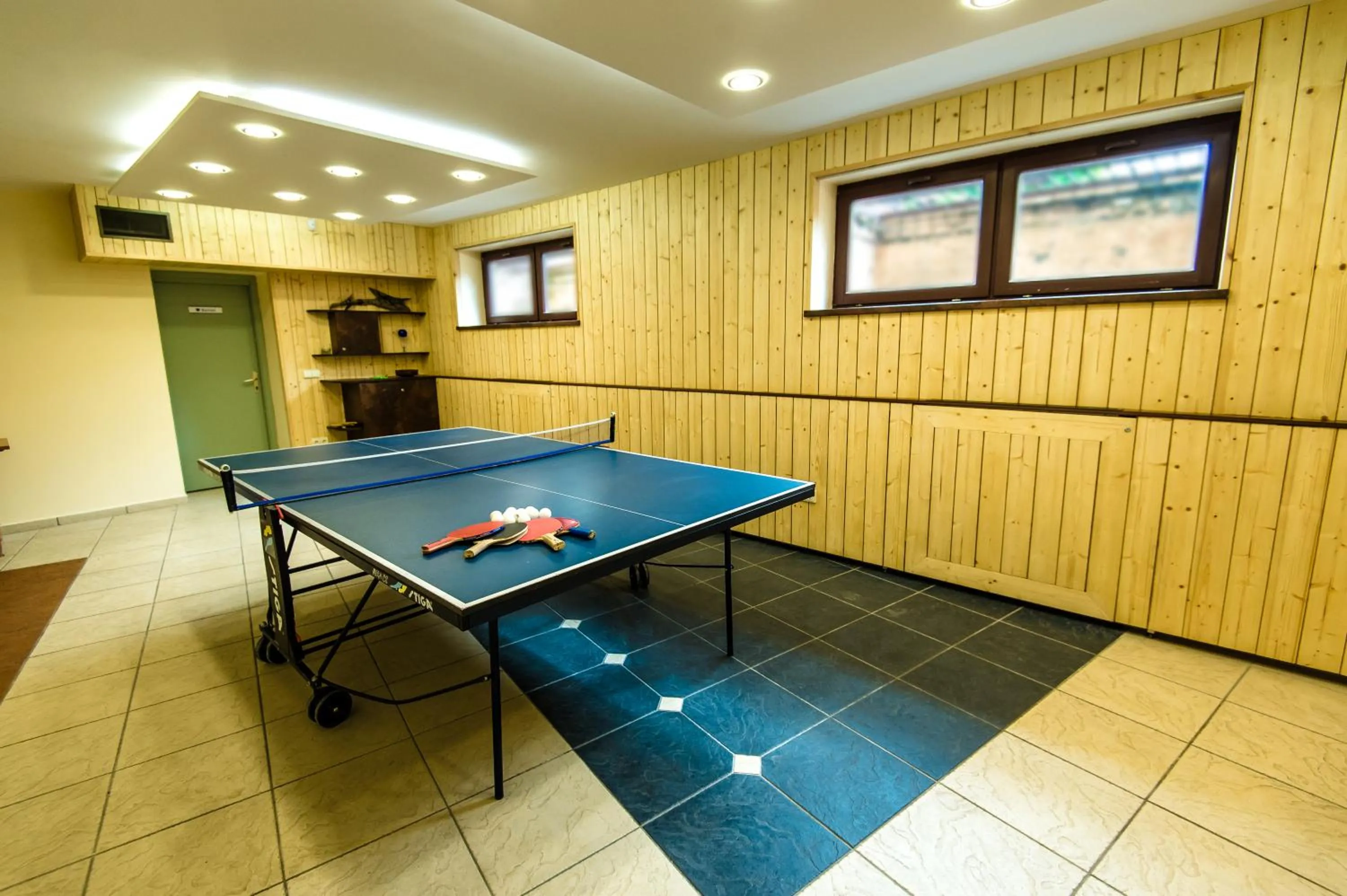 Table tennis in Palva