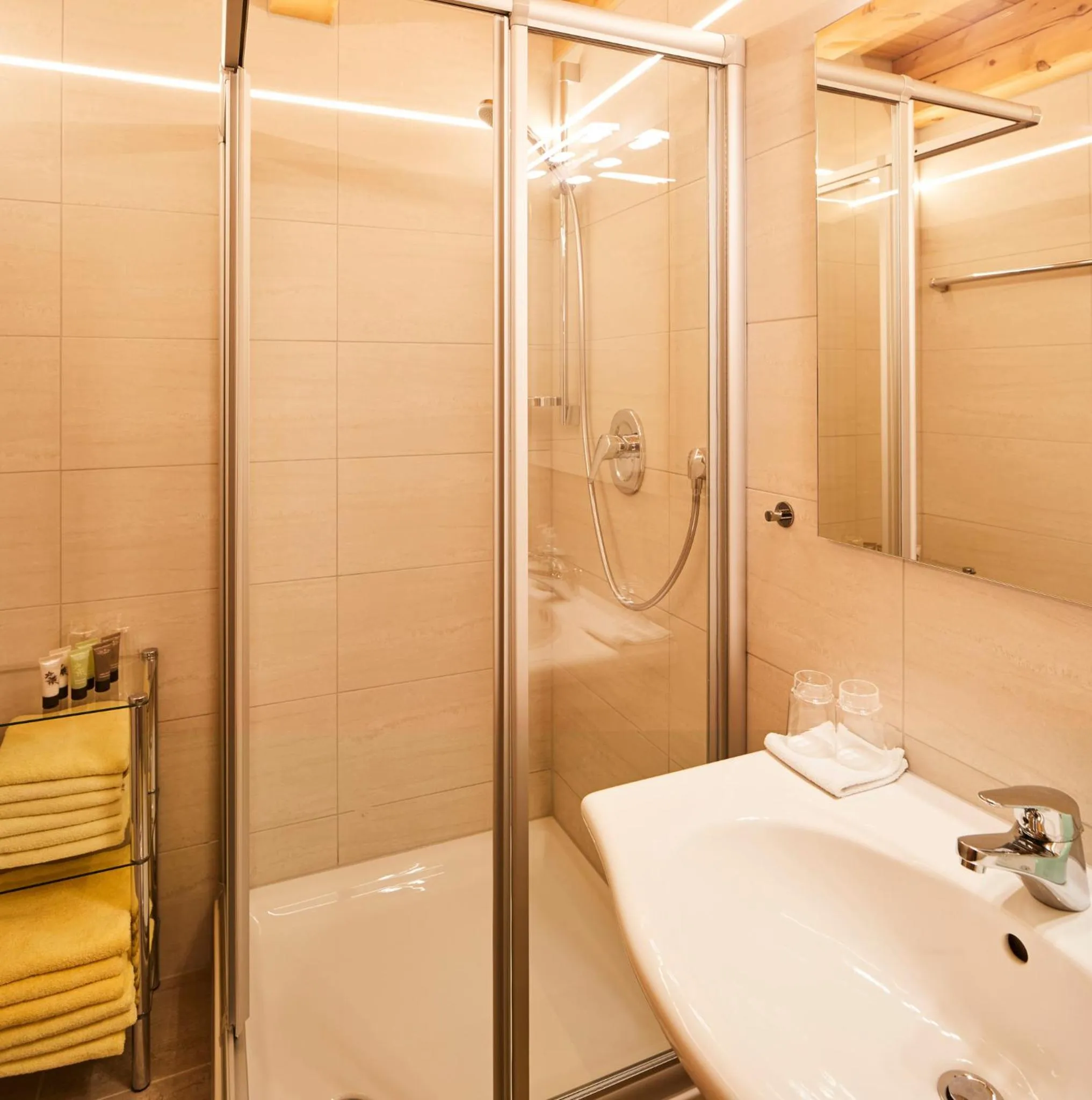 Shower in Tirolerhof - Appartementhaus