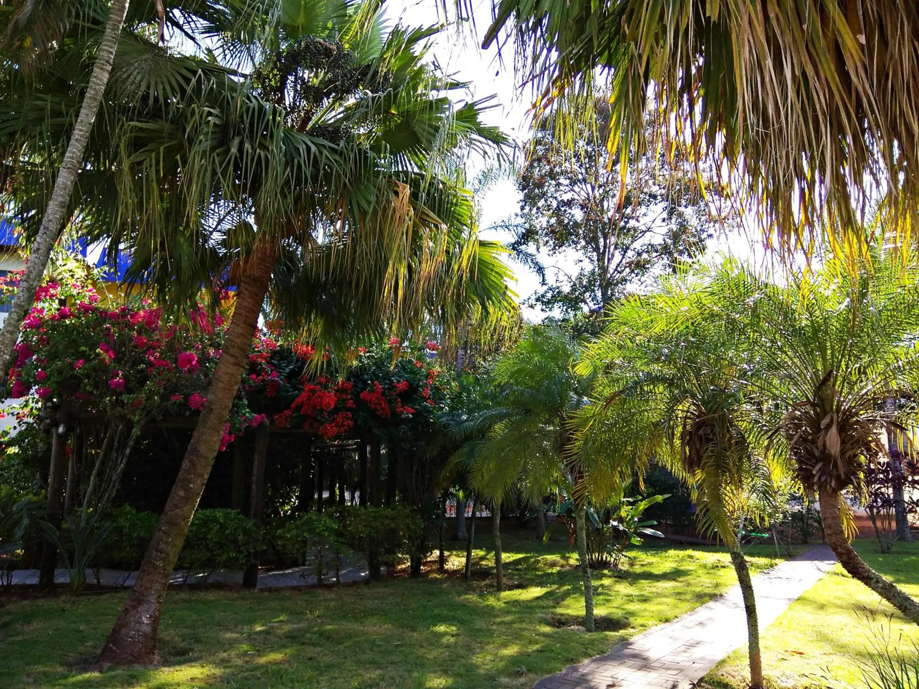 Garden in Praia Sol Hotel