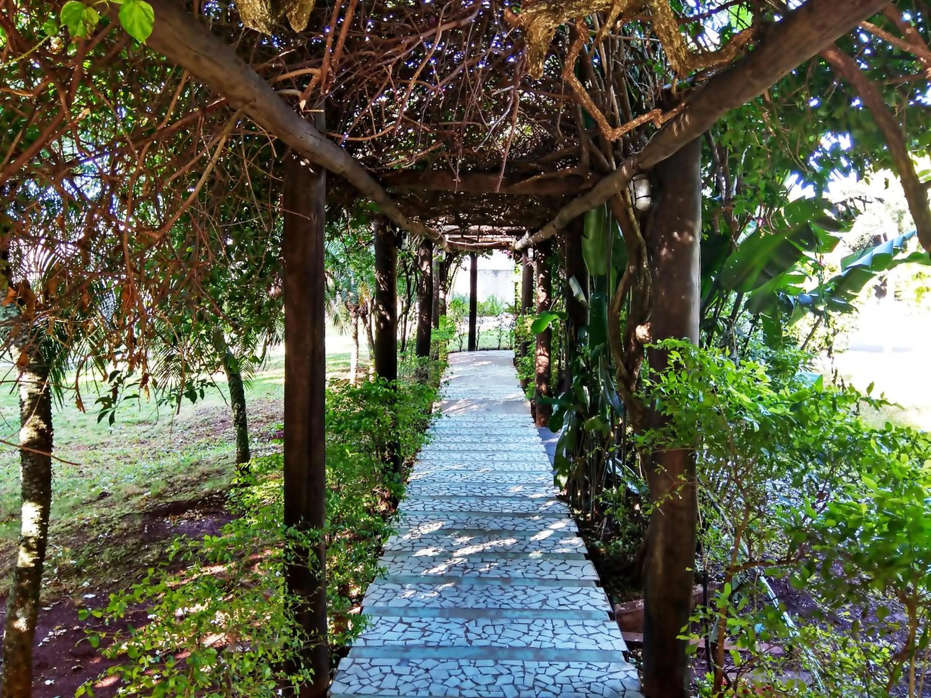 Garden in Praia Sol Hotel