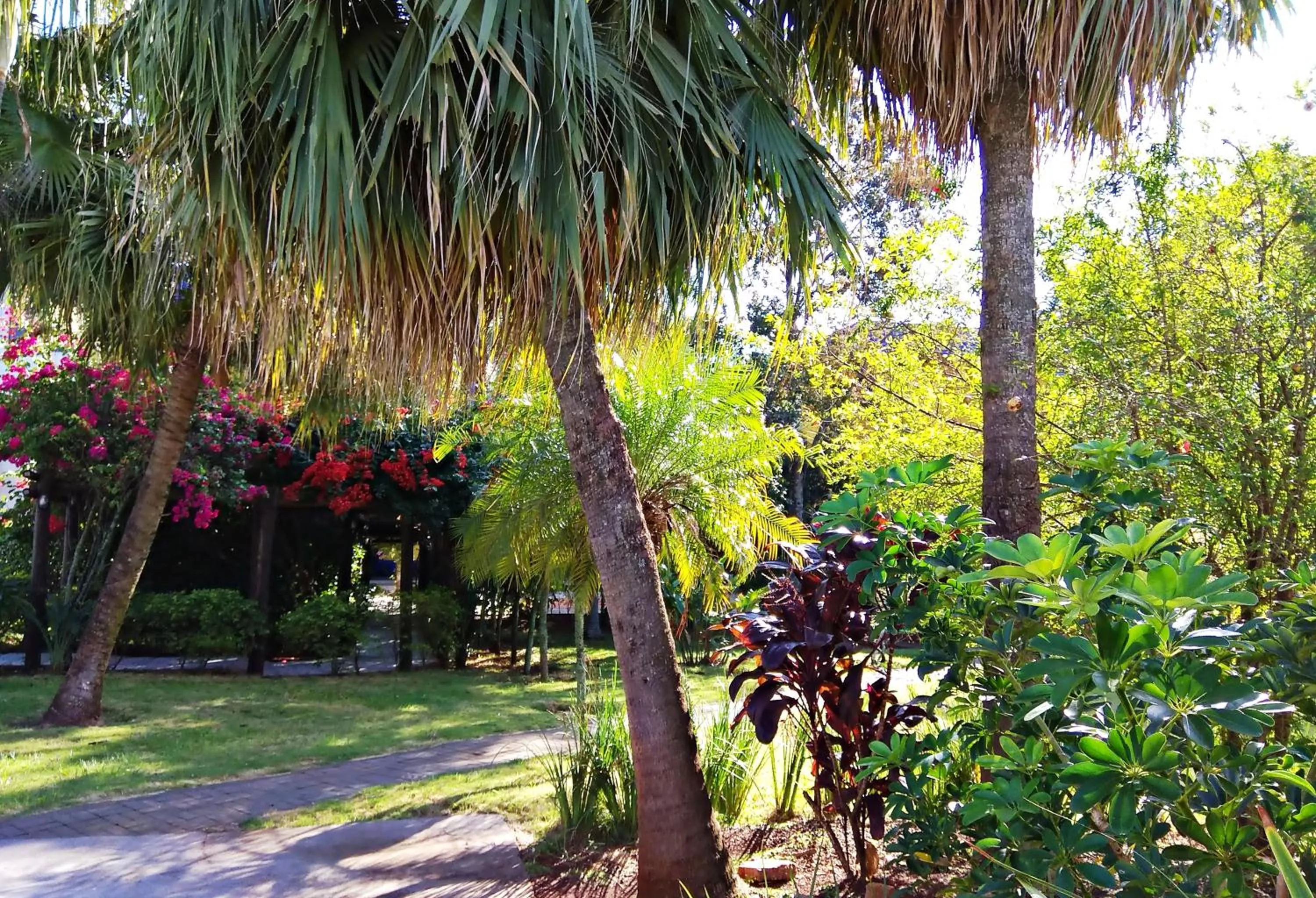 Children play ground in Praia Sol Hotel