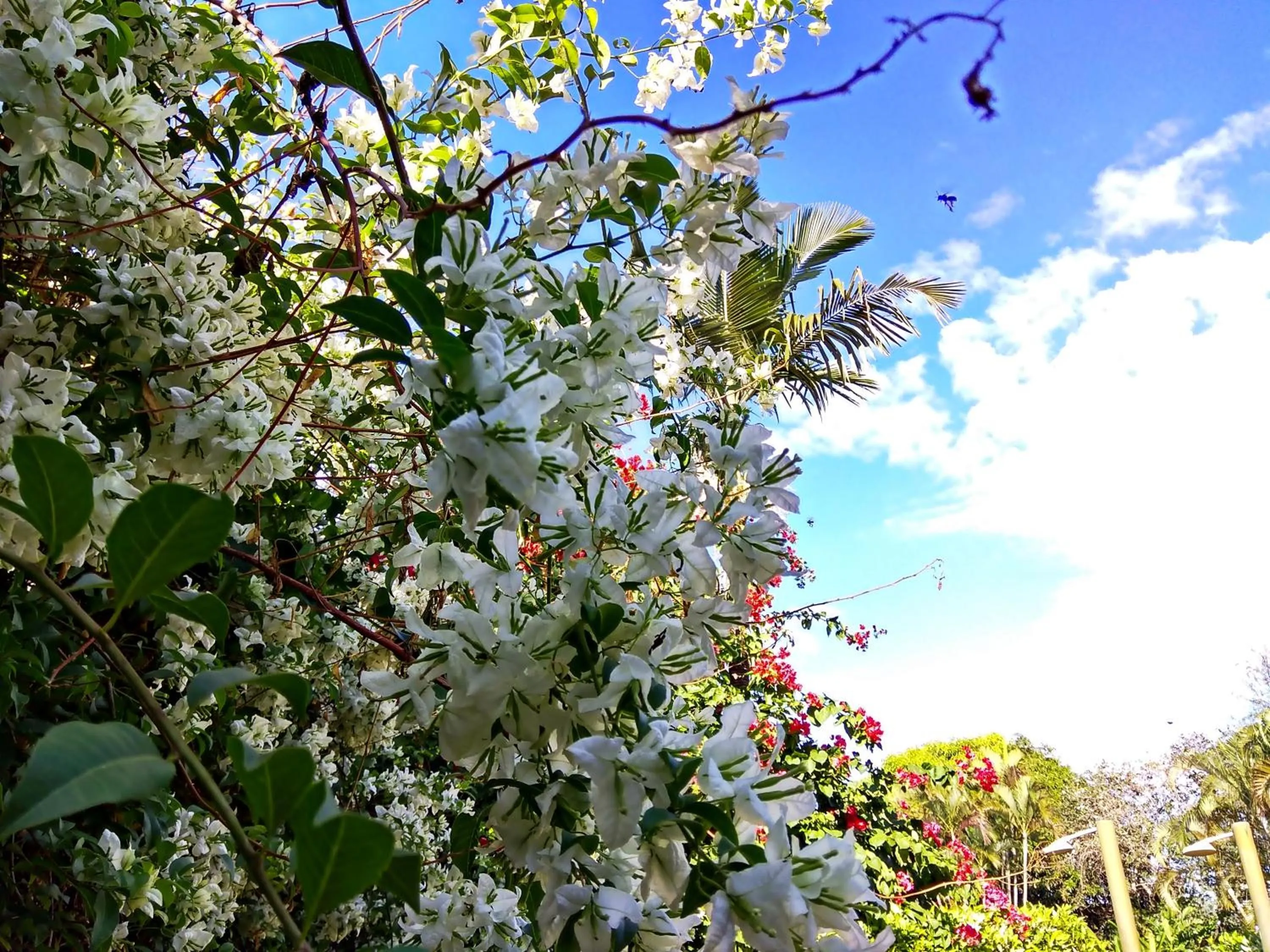 Property building in Praia Sol Hotel