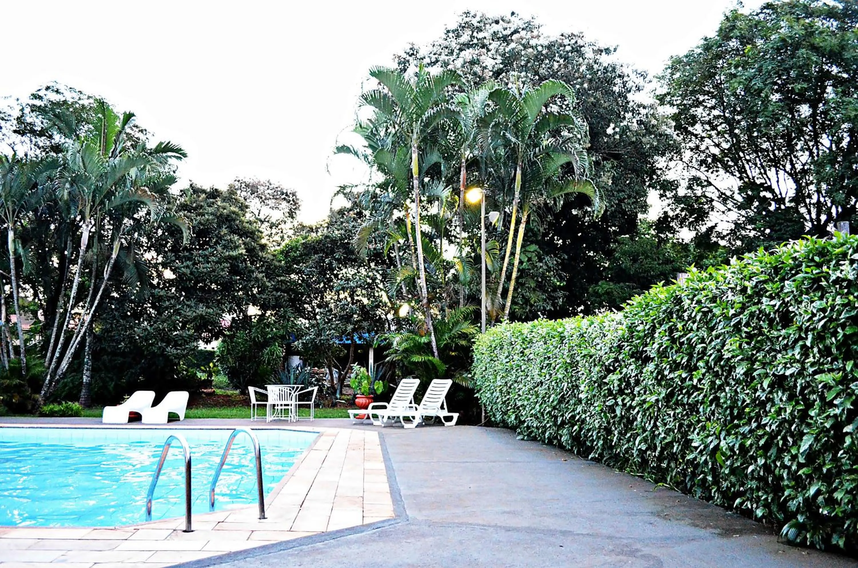 Garden in Praia Sol Hotel