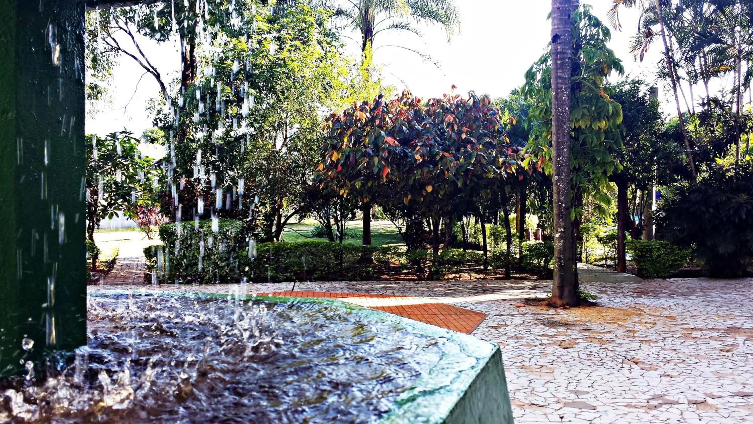 Garden in Praia Sol Hotel