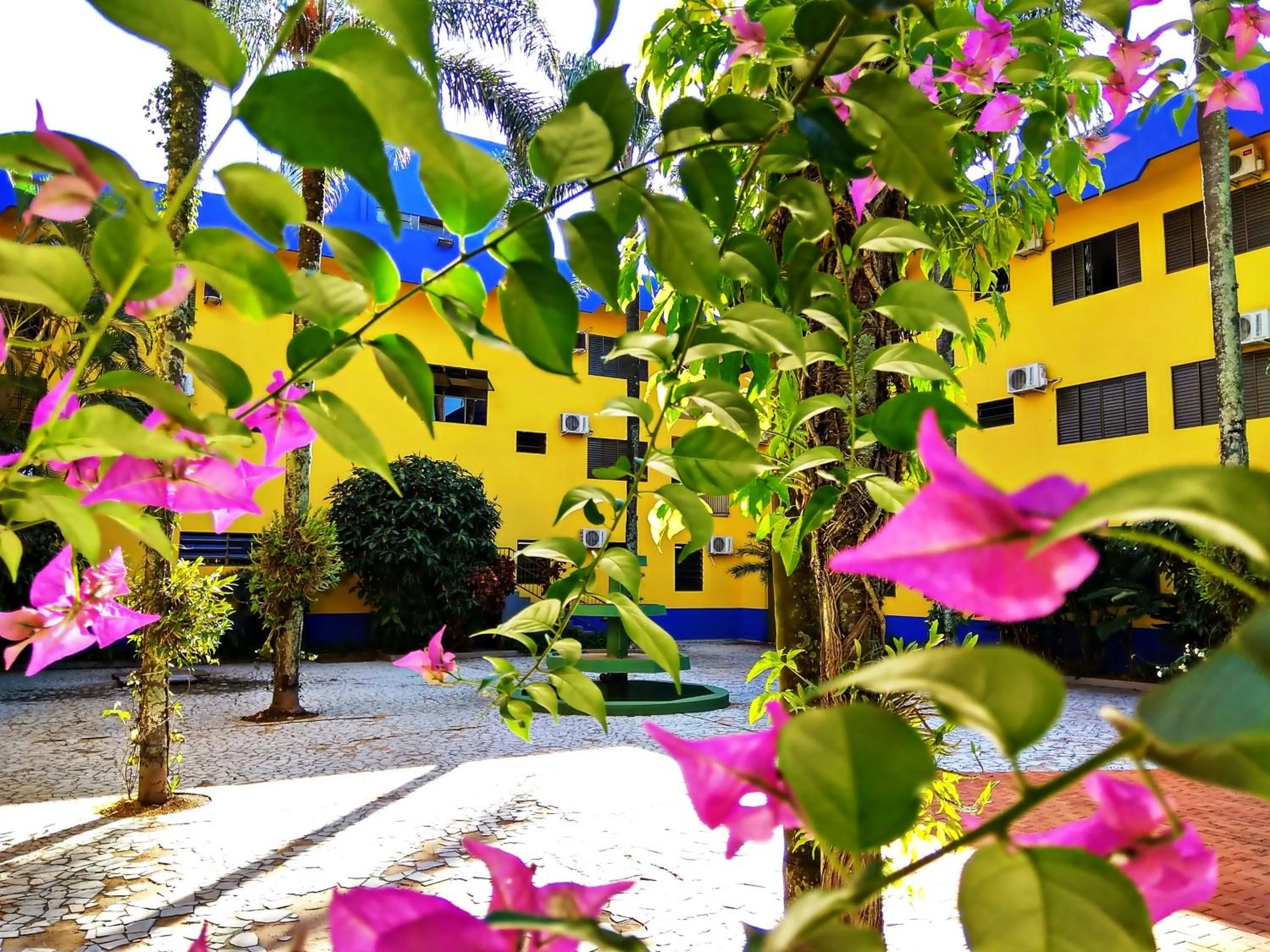 Patio in Praia Sol Hotel