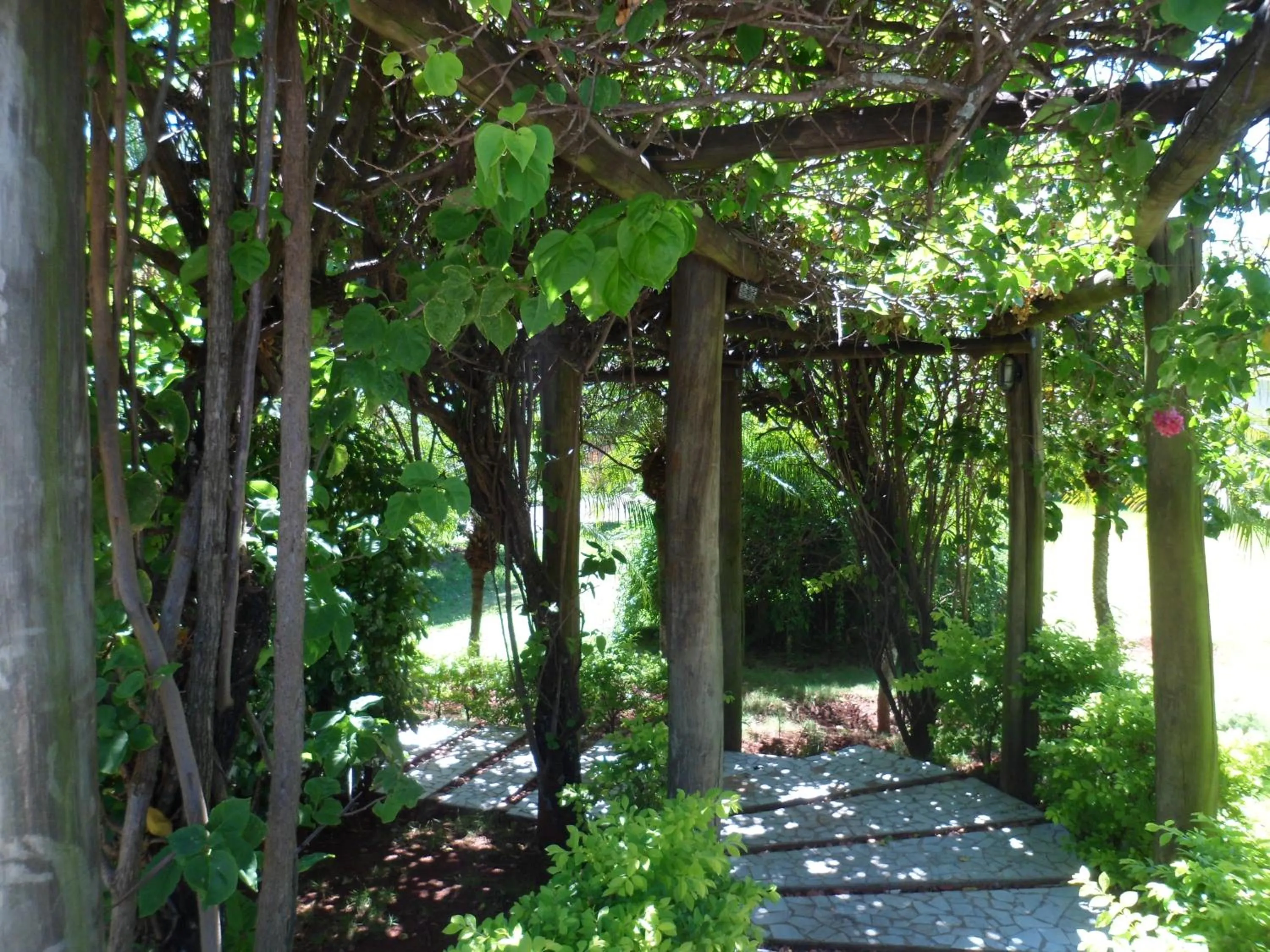 Garden in Praia Sol Hotel