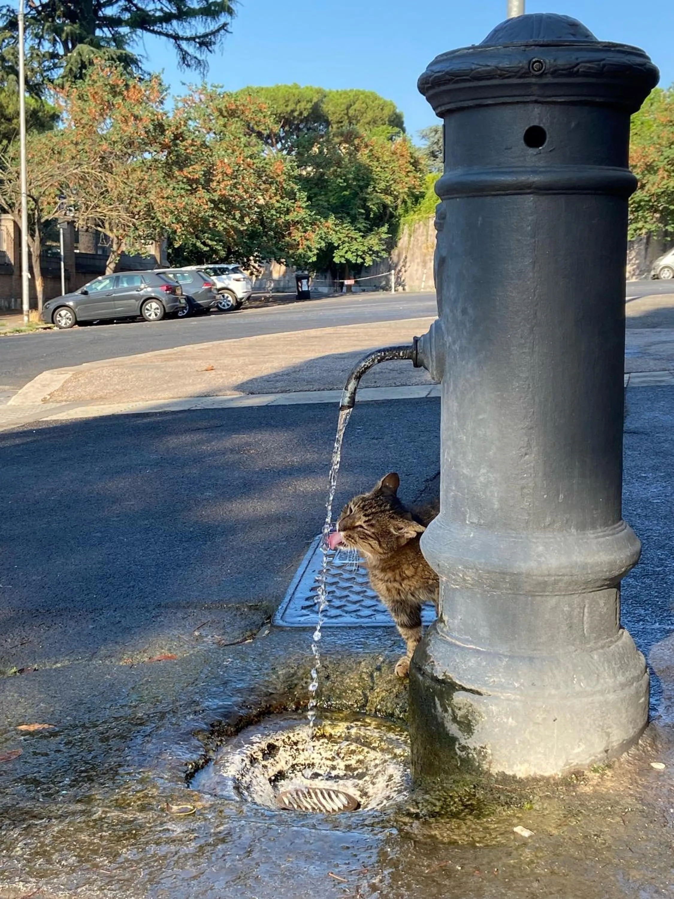 Neighbourhood in Sourire Hotel
