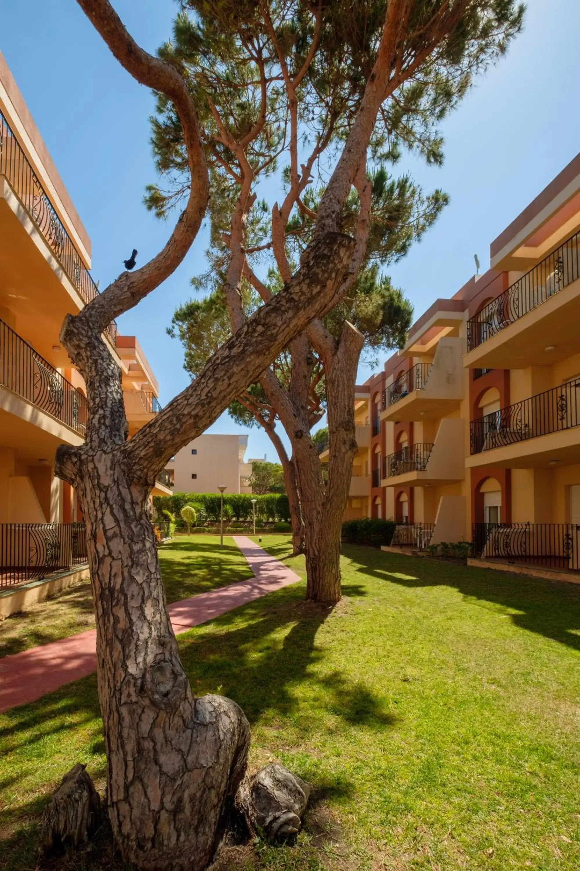 Property building in Aparthotel las Dunas Property building in Aparthotel las Dunas