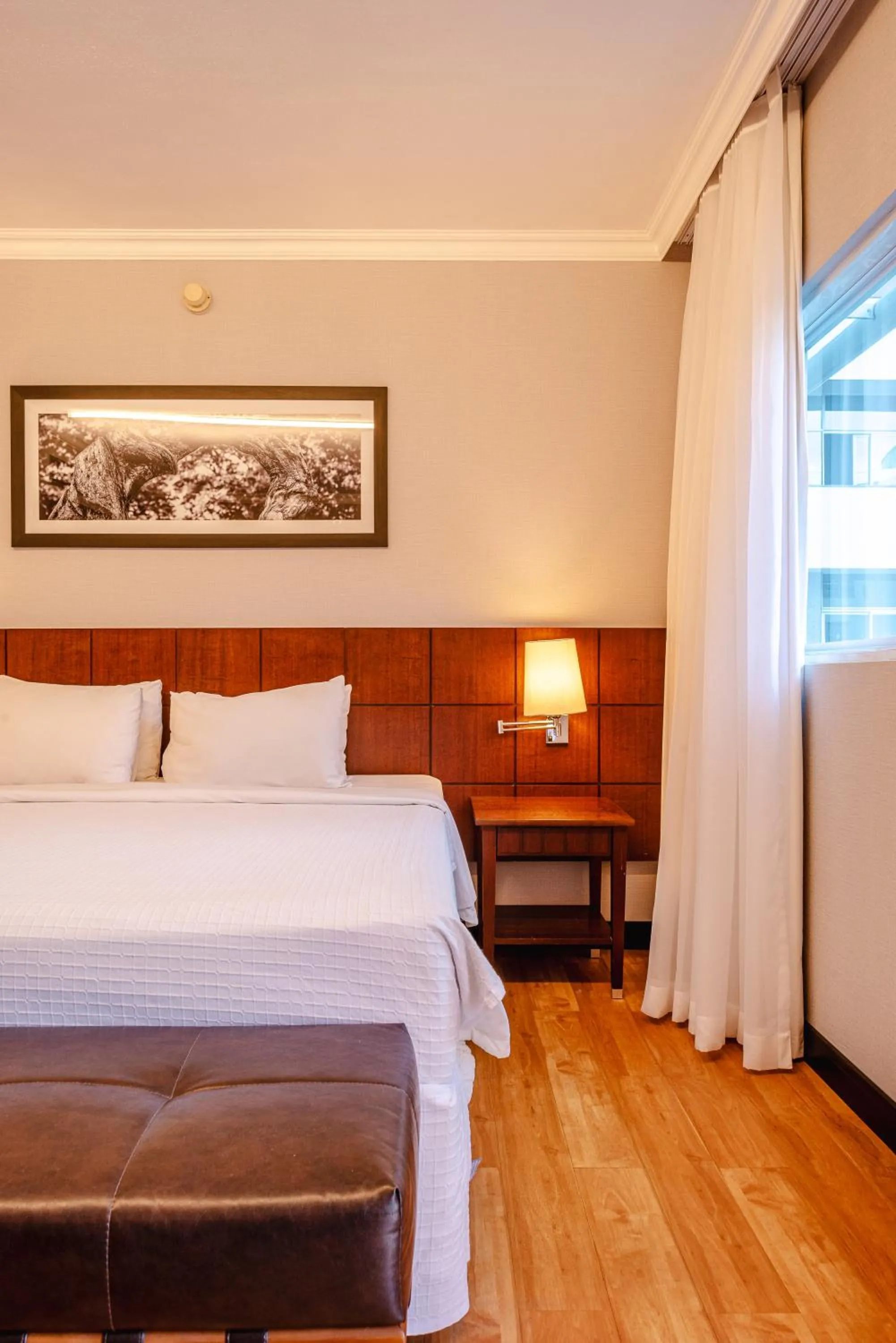 Bed in Blue Tree Premium Verbo Divino - Nações Unidas