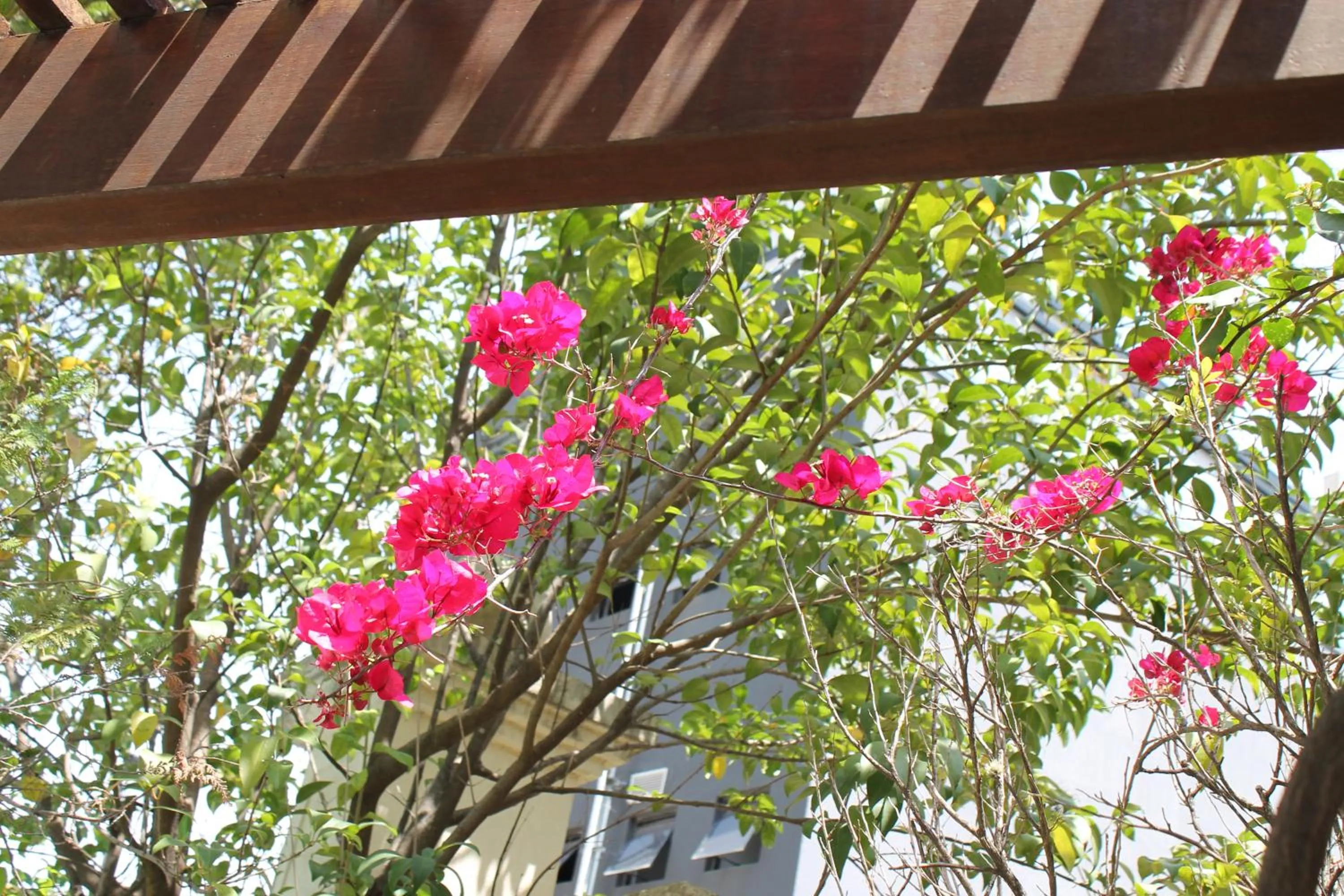 Quality Suites Vila Olimpia