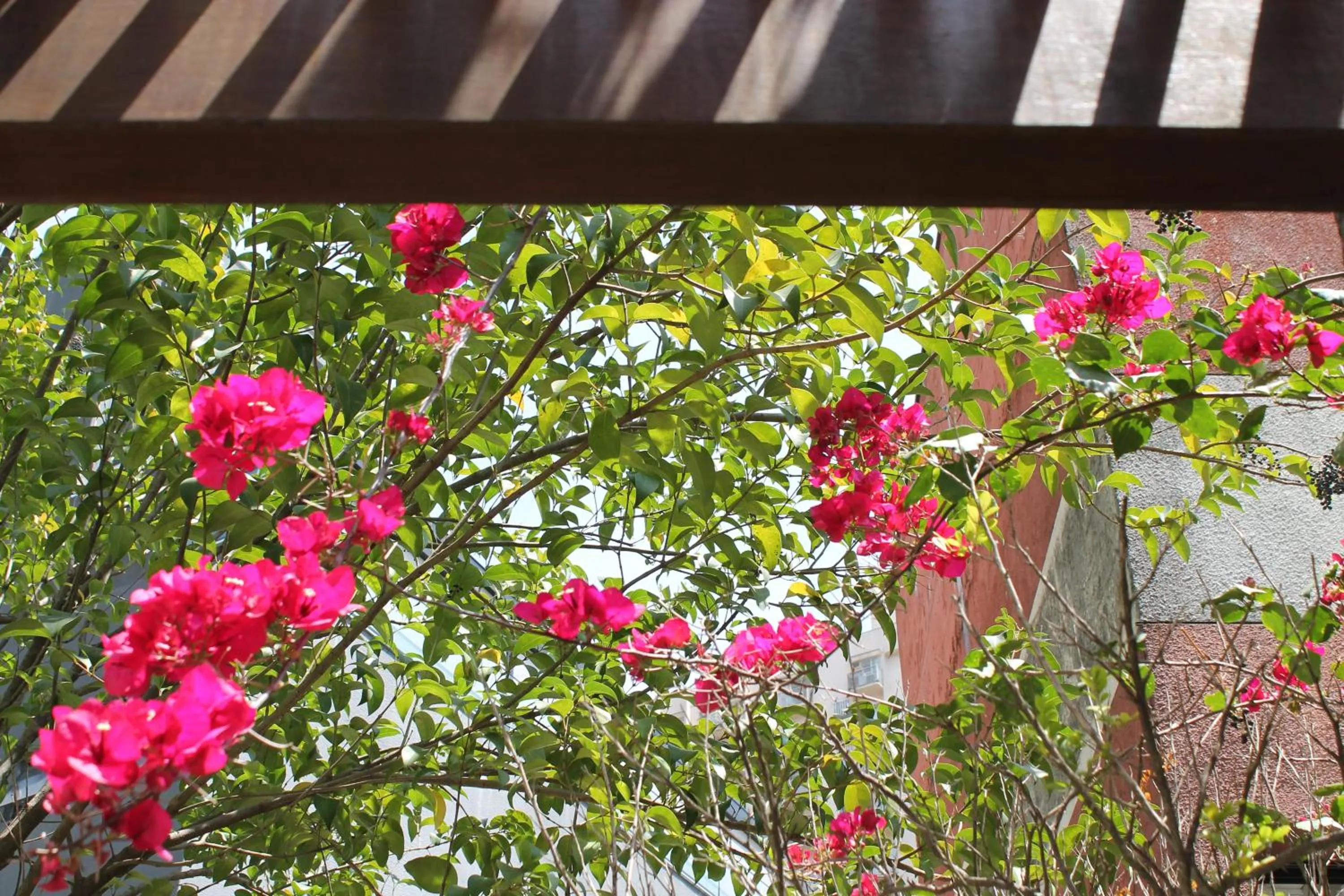 Quality Suites Vila Olimpia