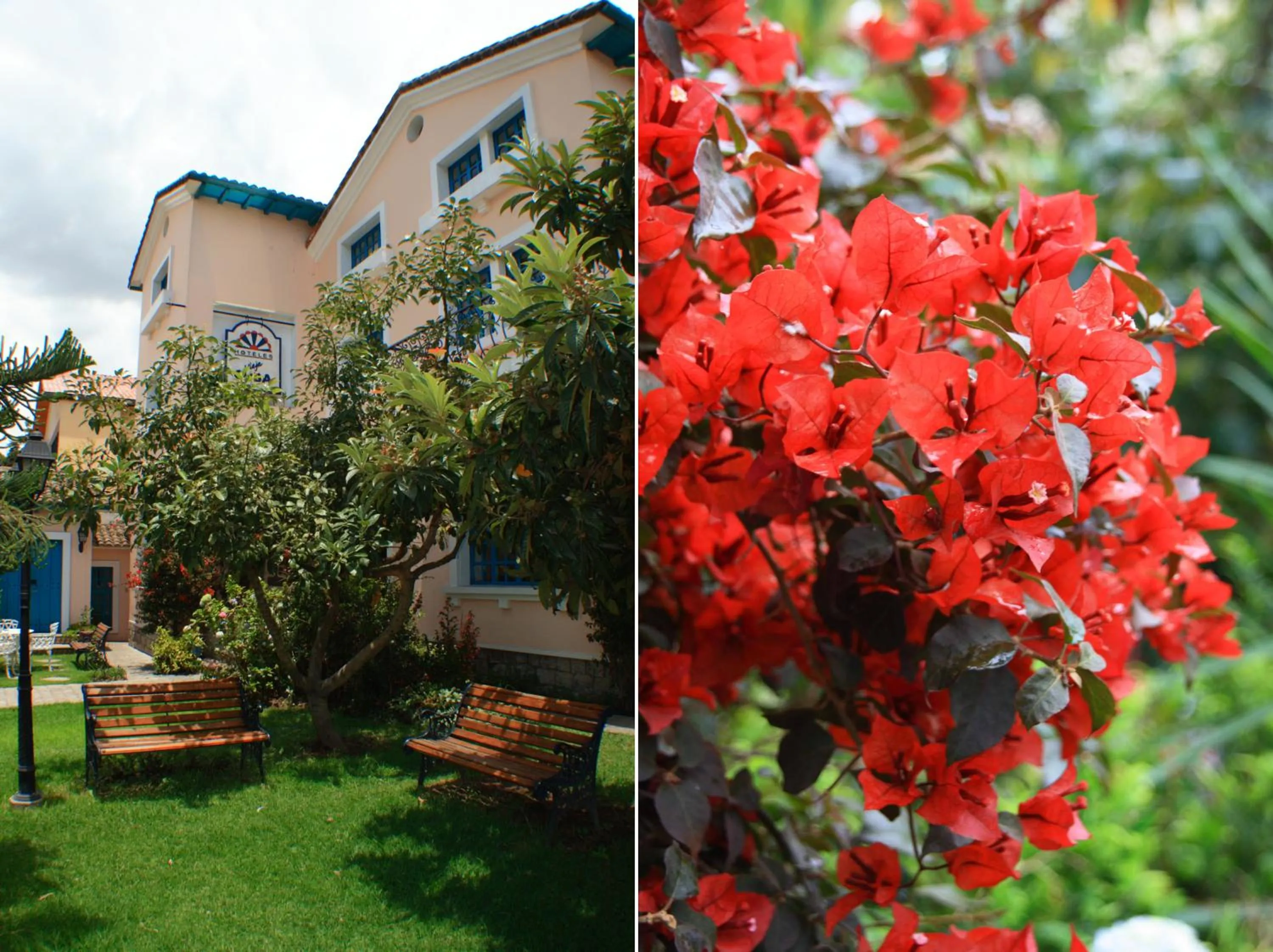 Garden in Hotel Boutique Vieja Cuba
