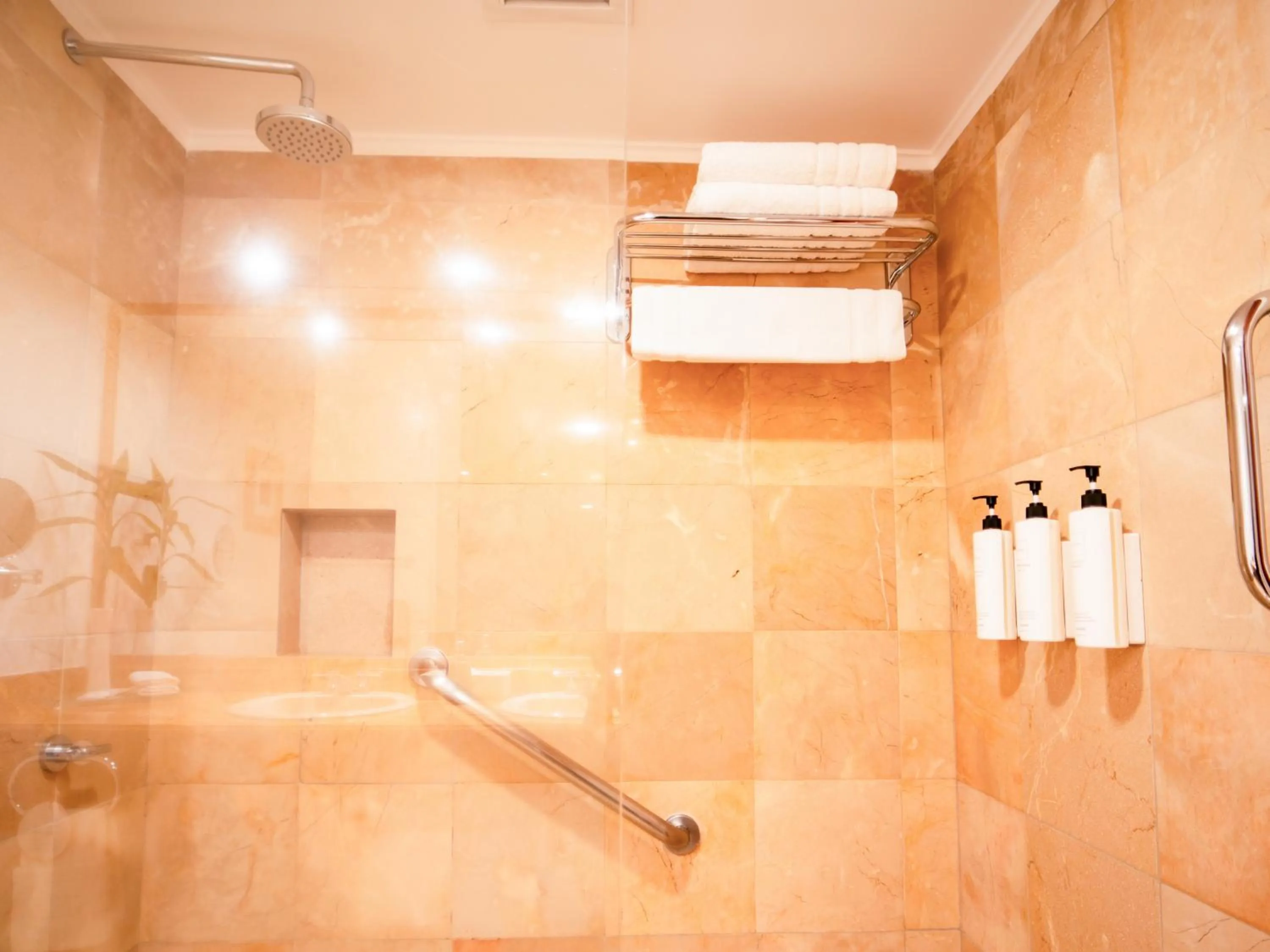 Shower in Swissotel Quito