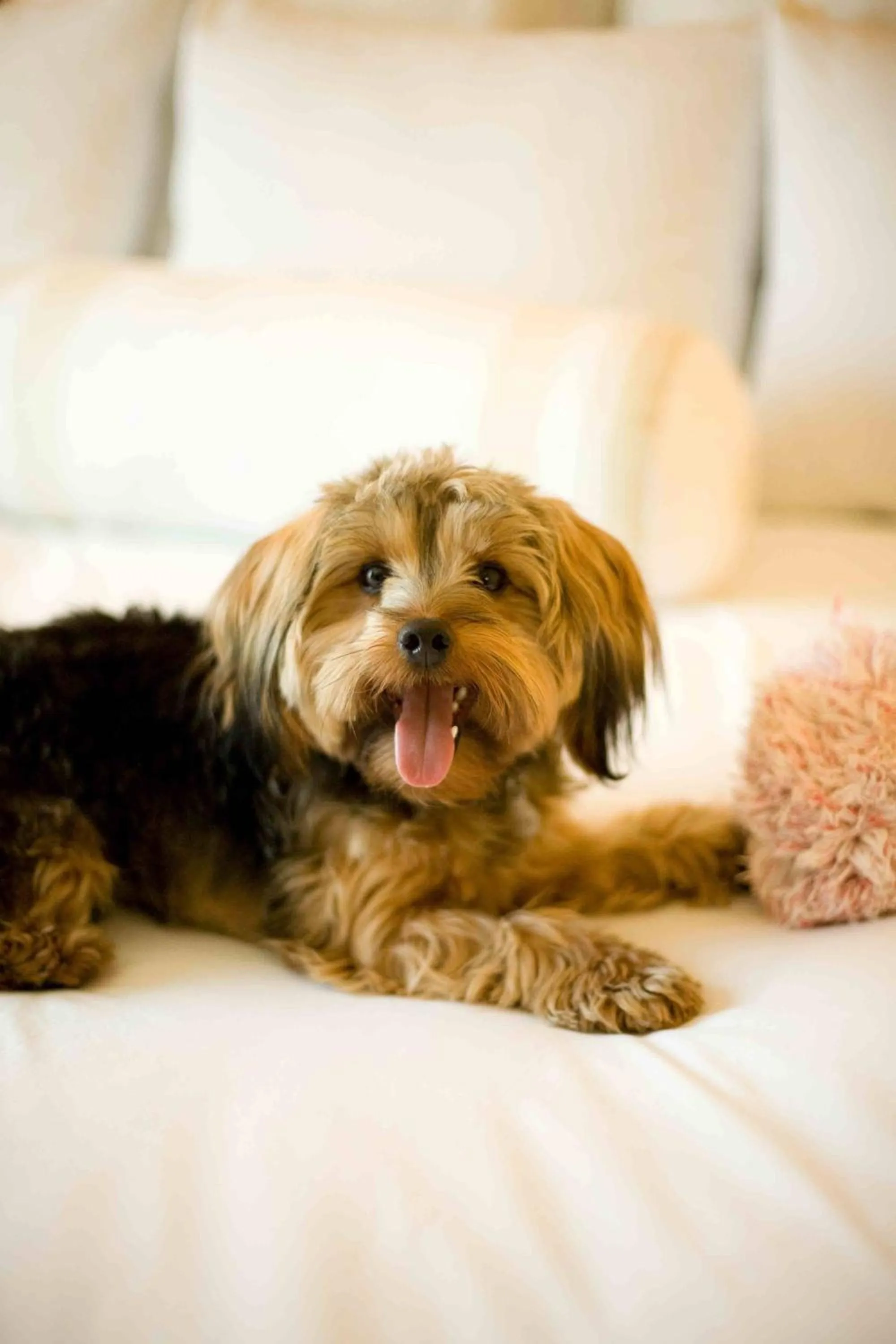 Other in Vancouver Airport Marriott Hotel