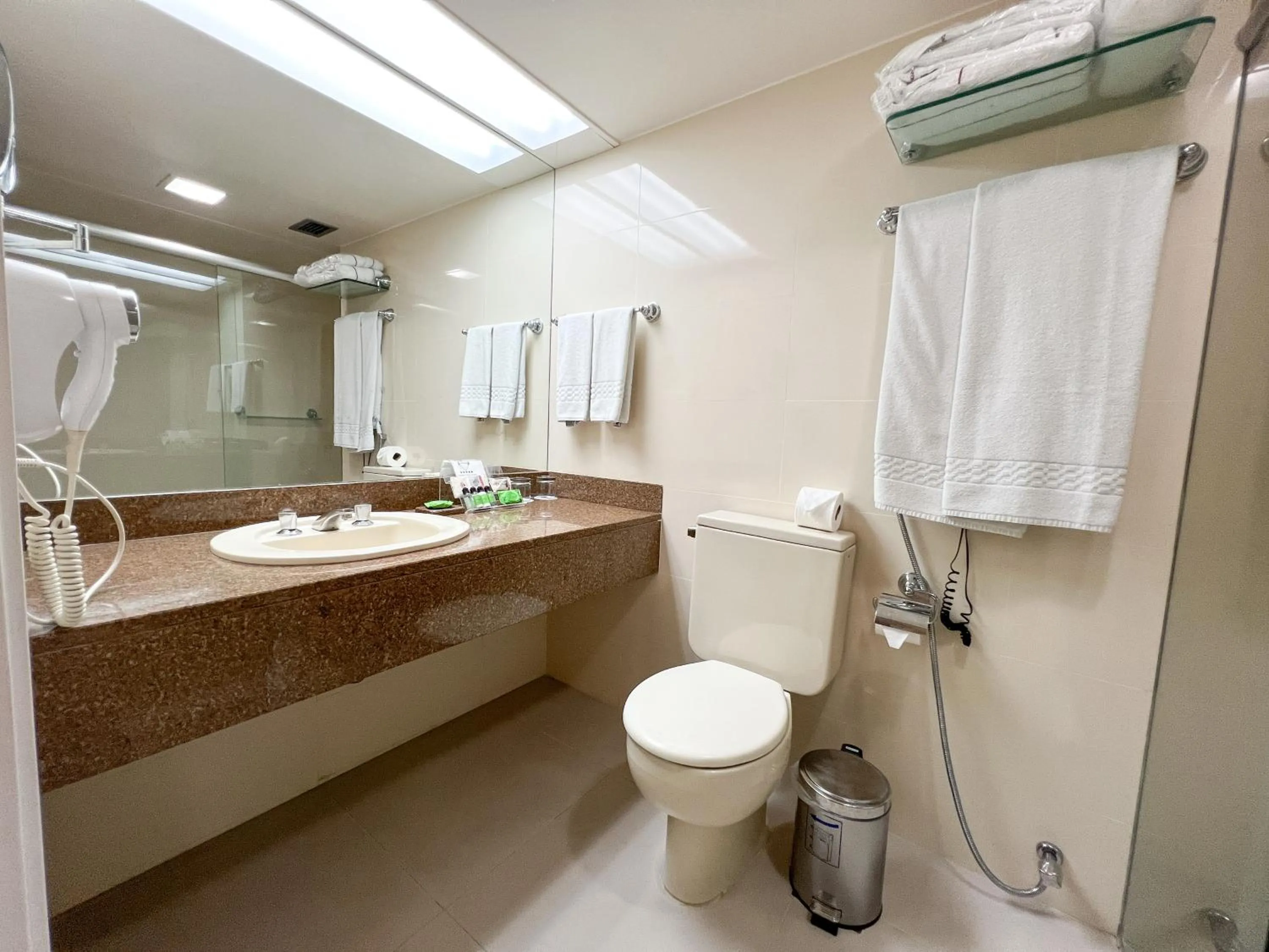 Shower in Castro's Park Hotel