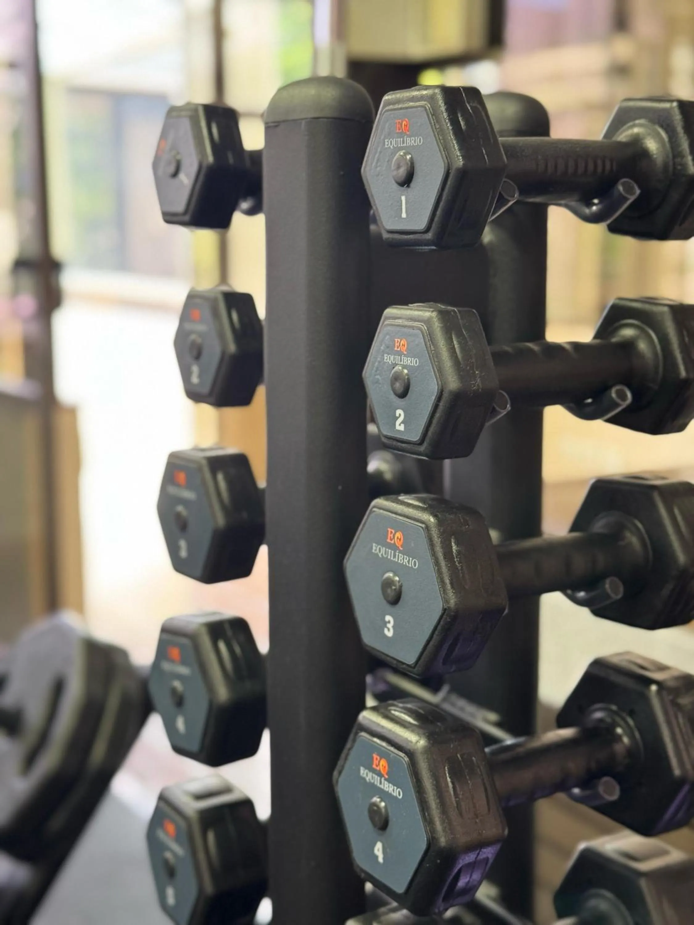 Fitness centre/facilities in Castro's Park Hotel