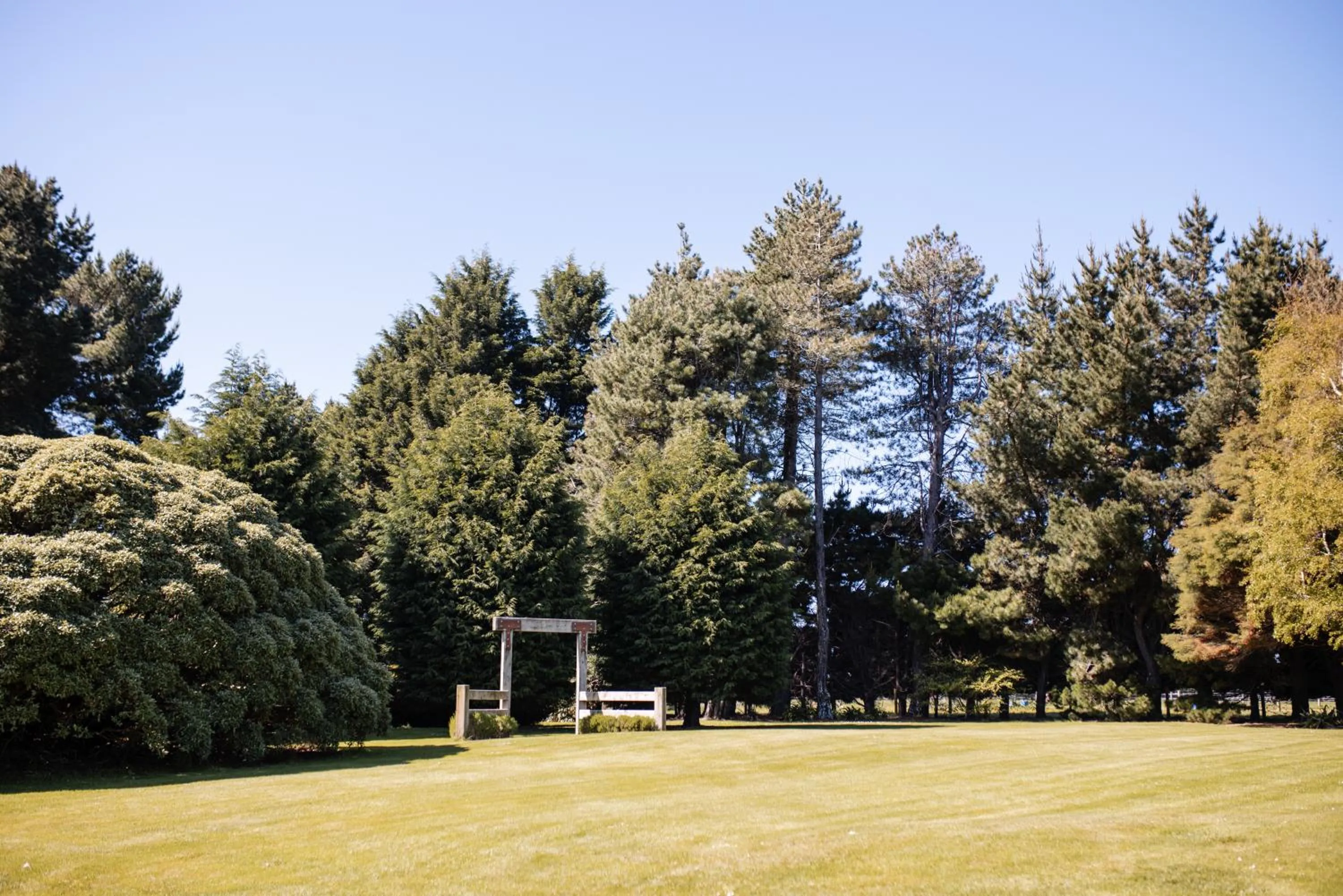 Garden view in Ascot Park Hotel