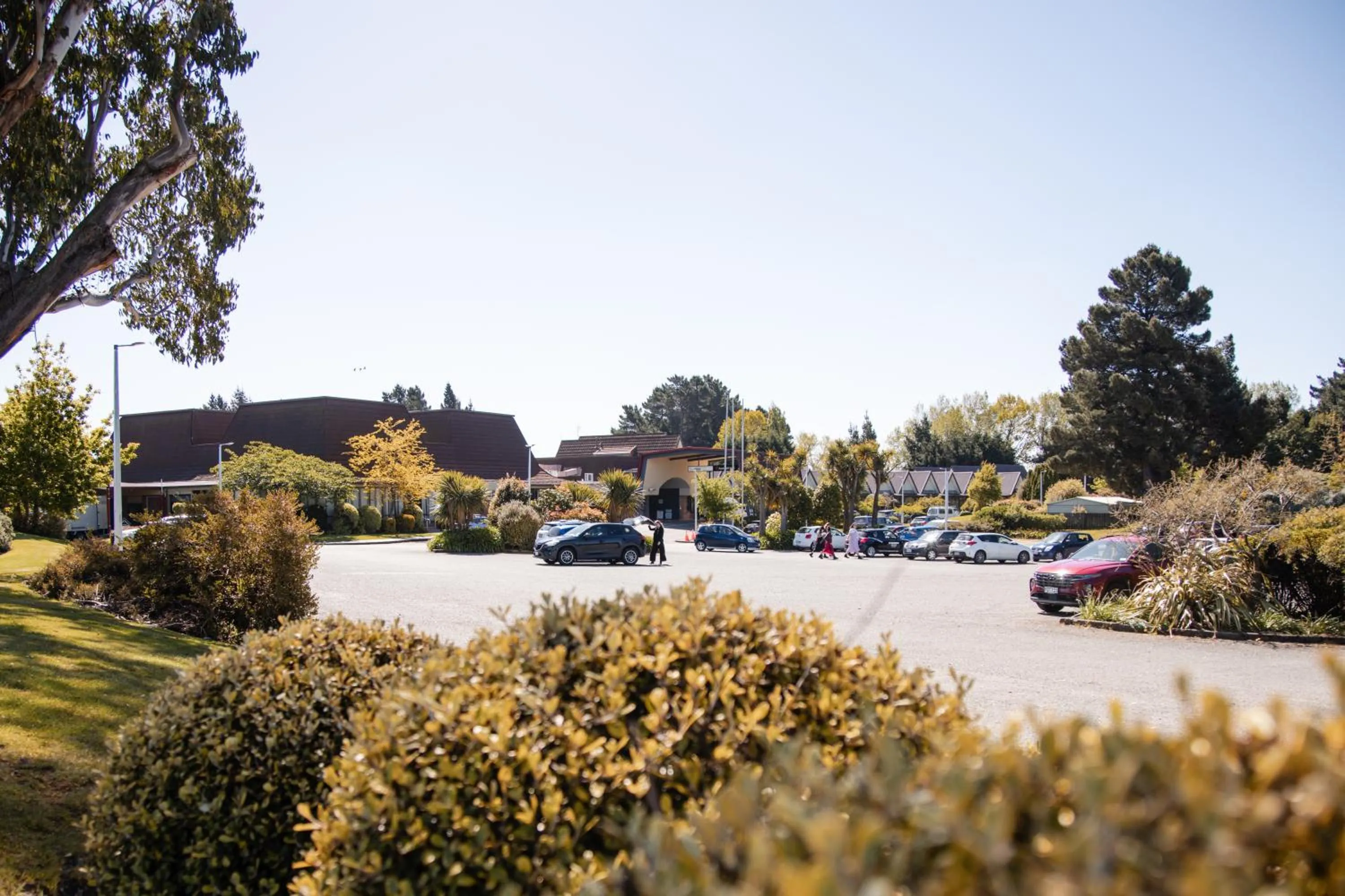 Garden in Ascot Park Hotel