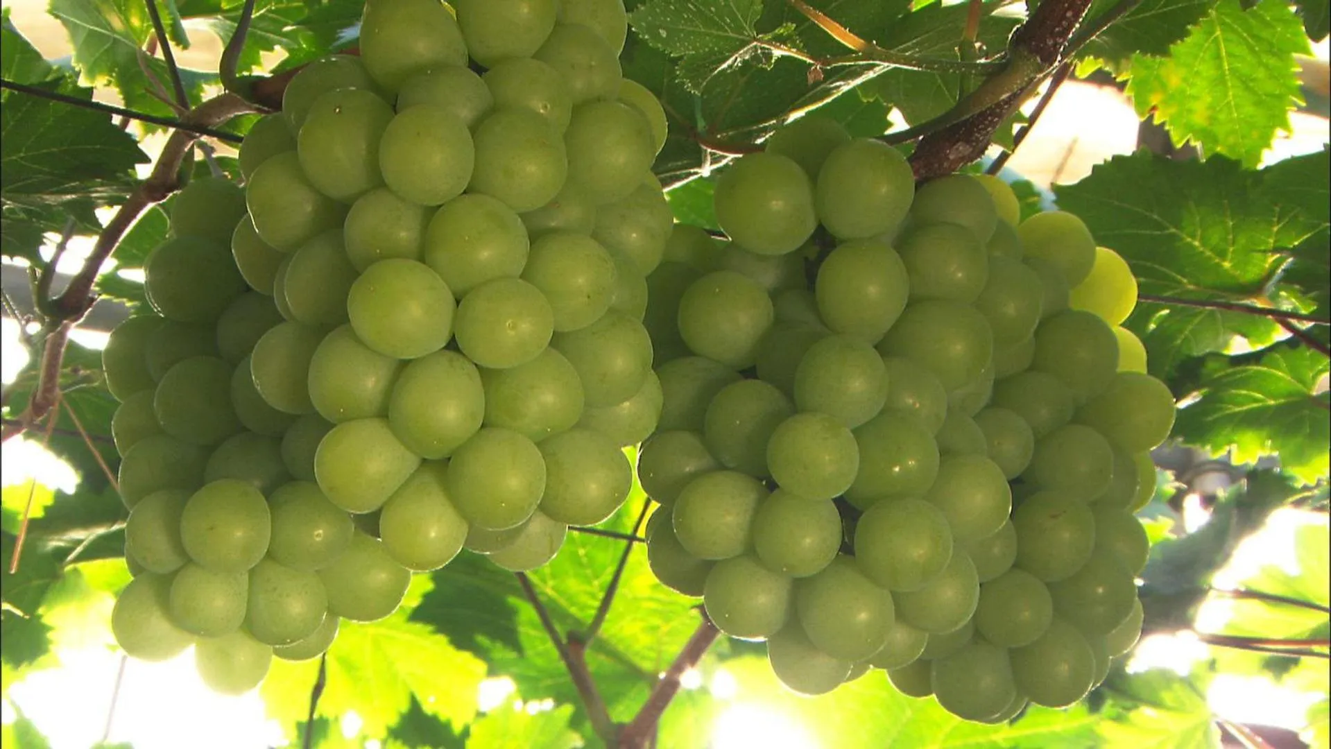 Other in Dormy Inn Kurashiki Natural Hot Spring