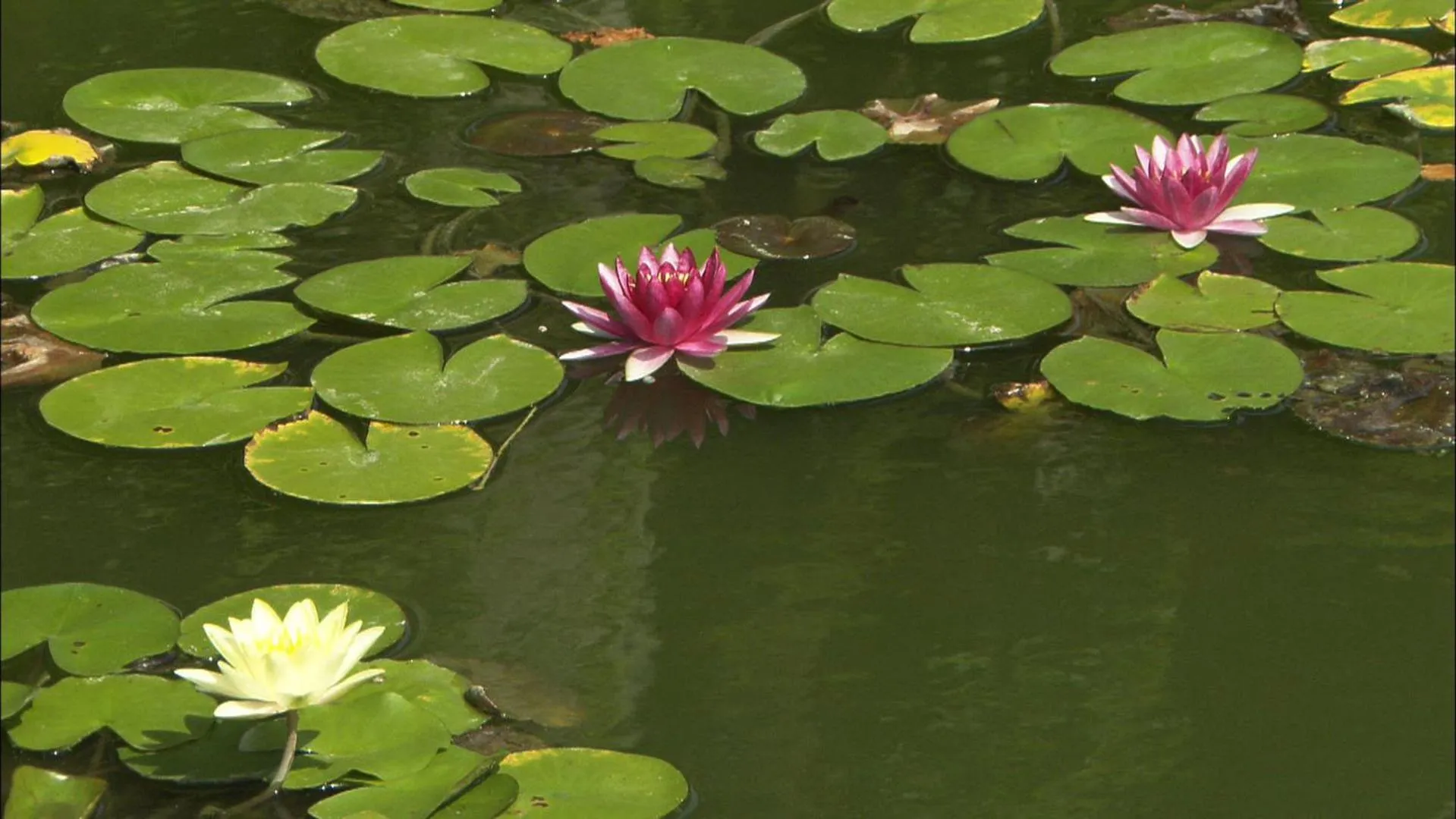 Nearby landmark in Dormy Inn Kurashiki Natural Hot Spring
