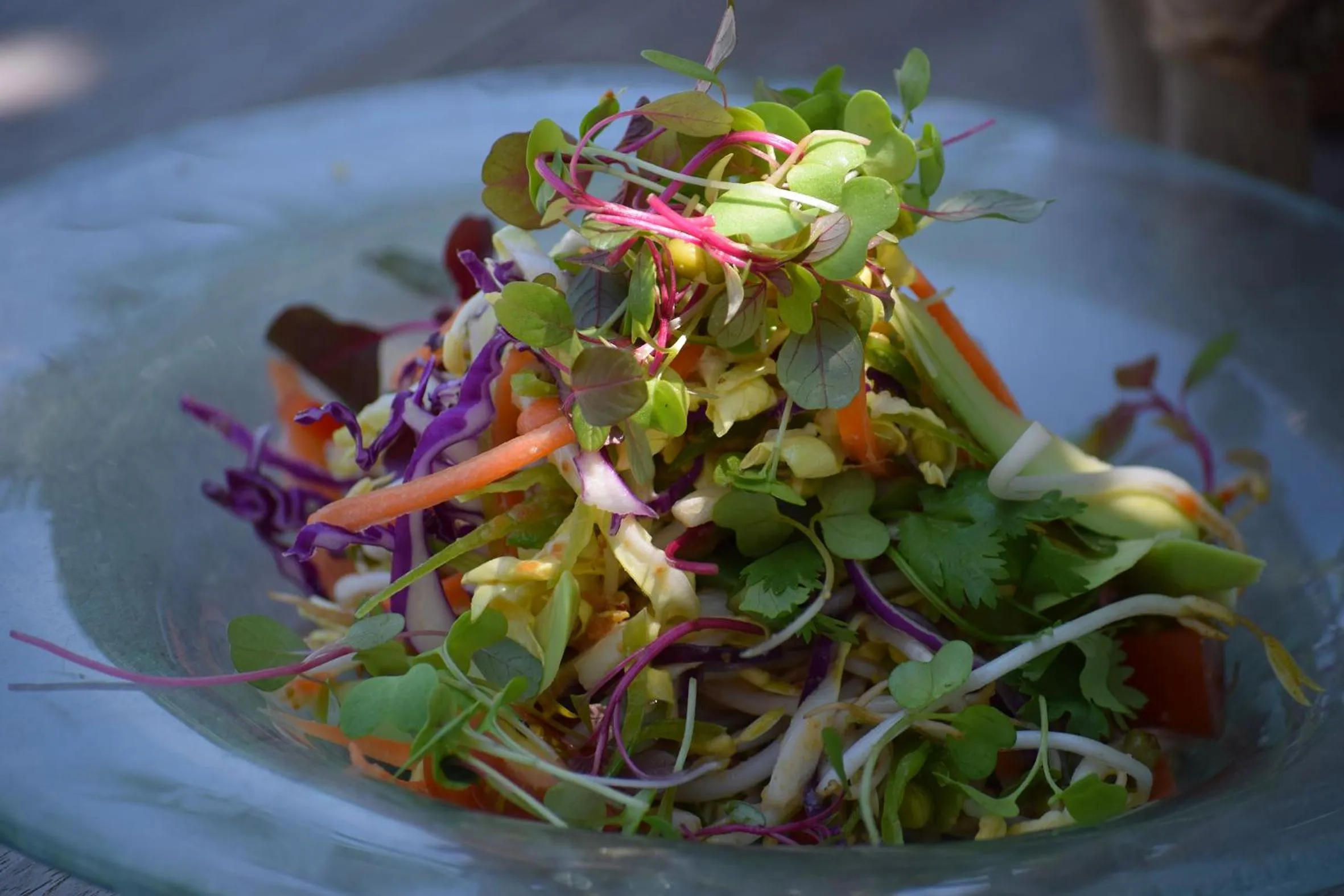 Food close-up in Six Senses Laamu