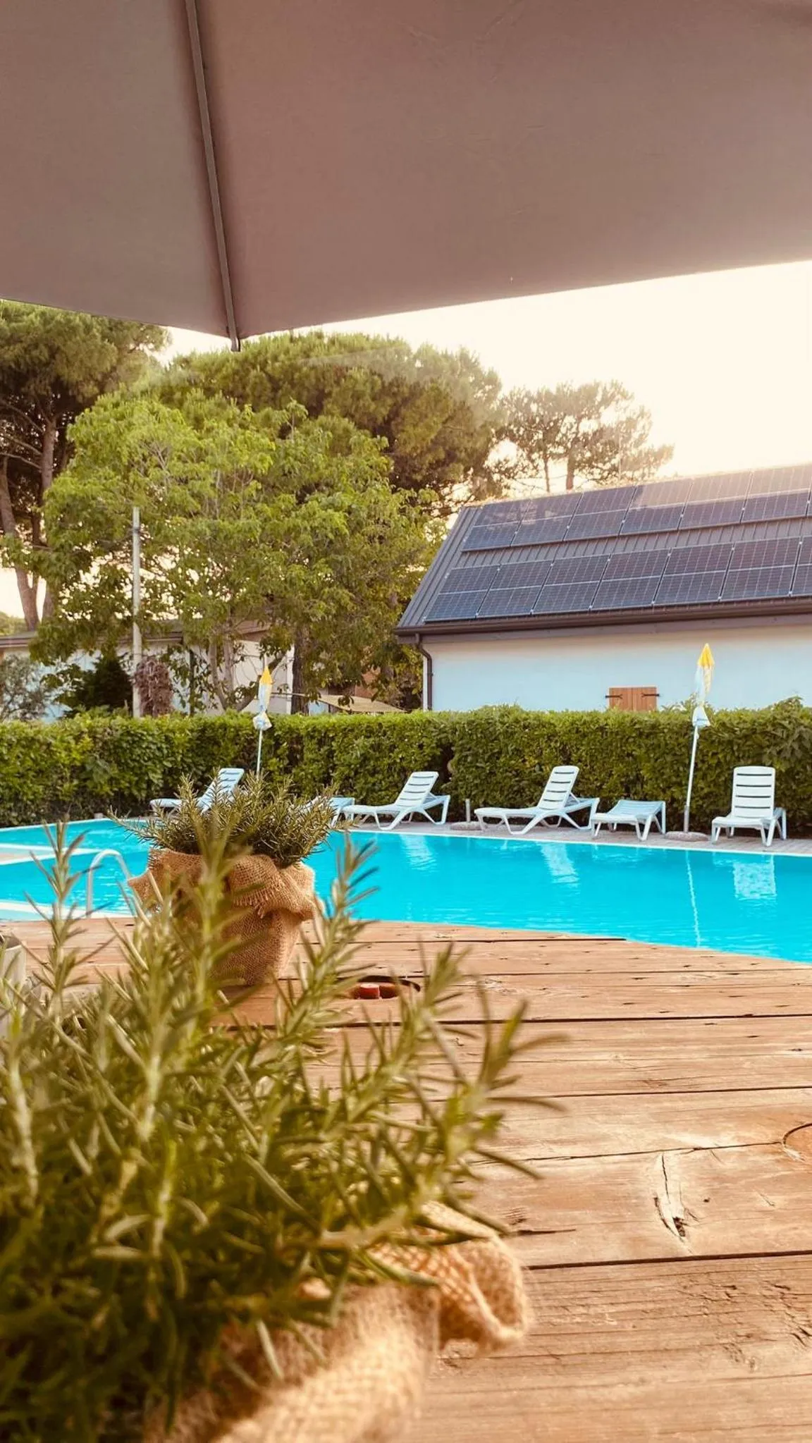 Swimming pool in Hotel Rosa Dei Venti