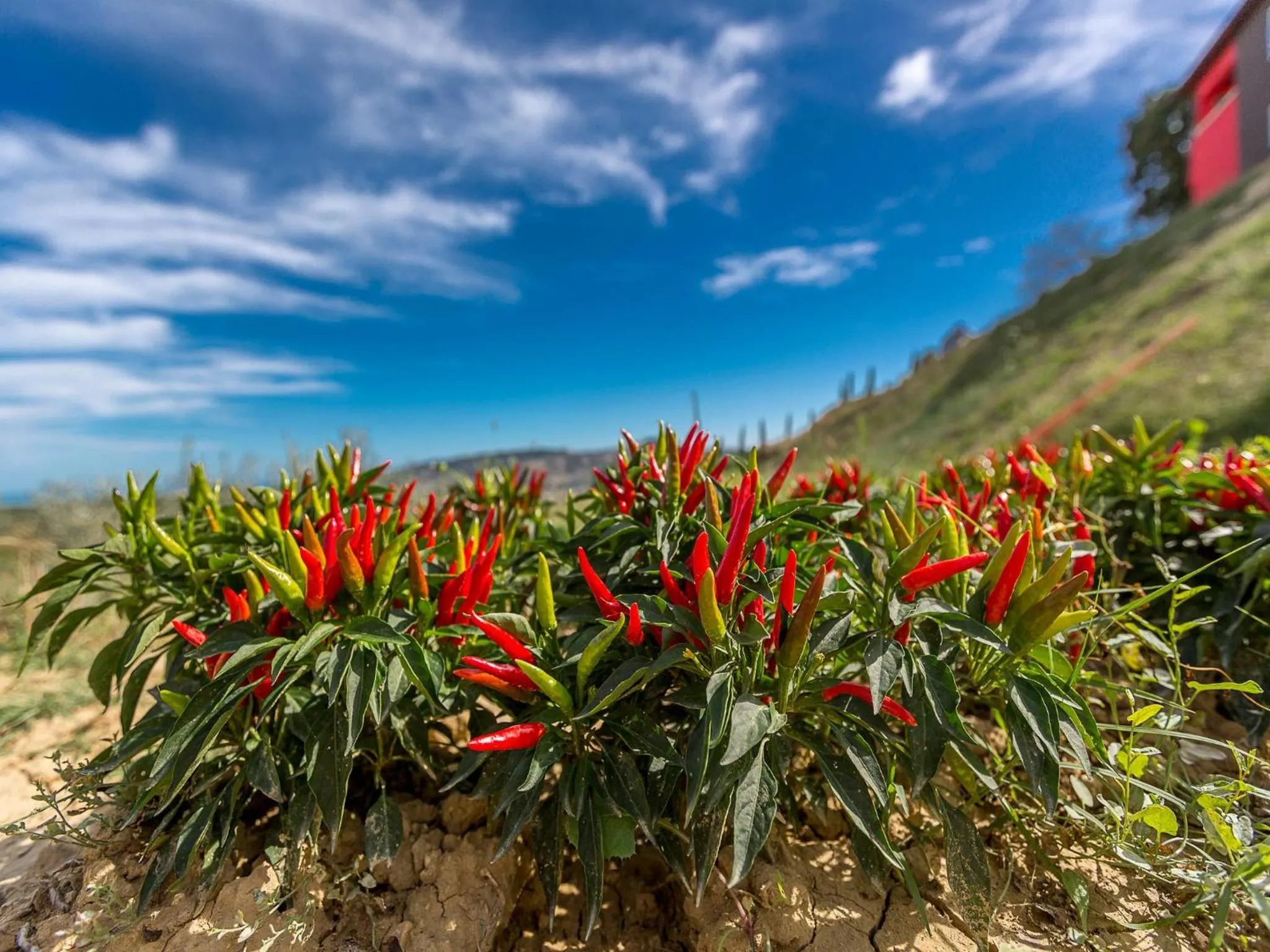 Day in Agriturismo Il Sapore Della Luna