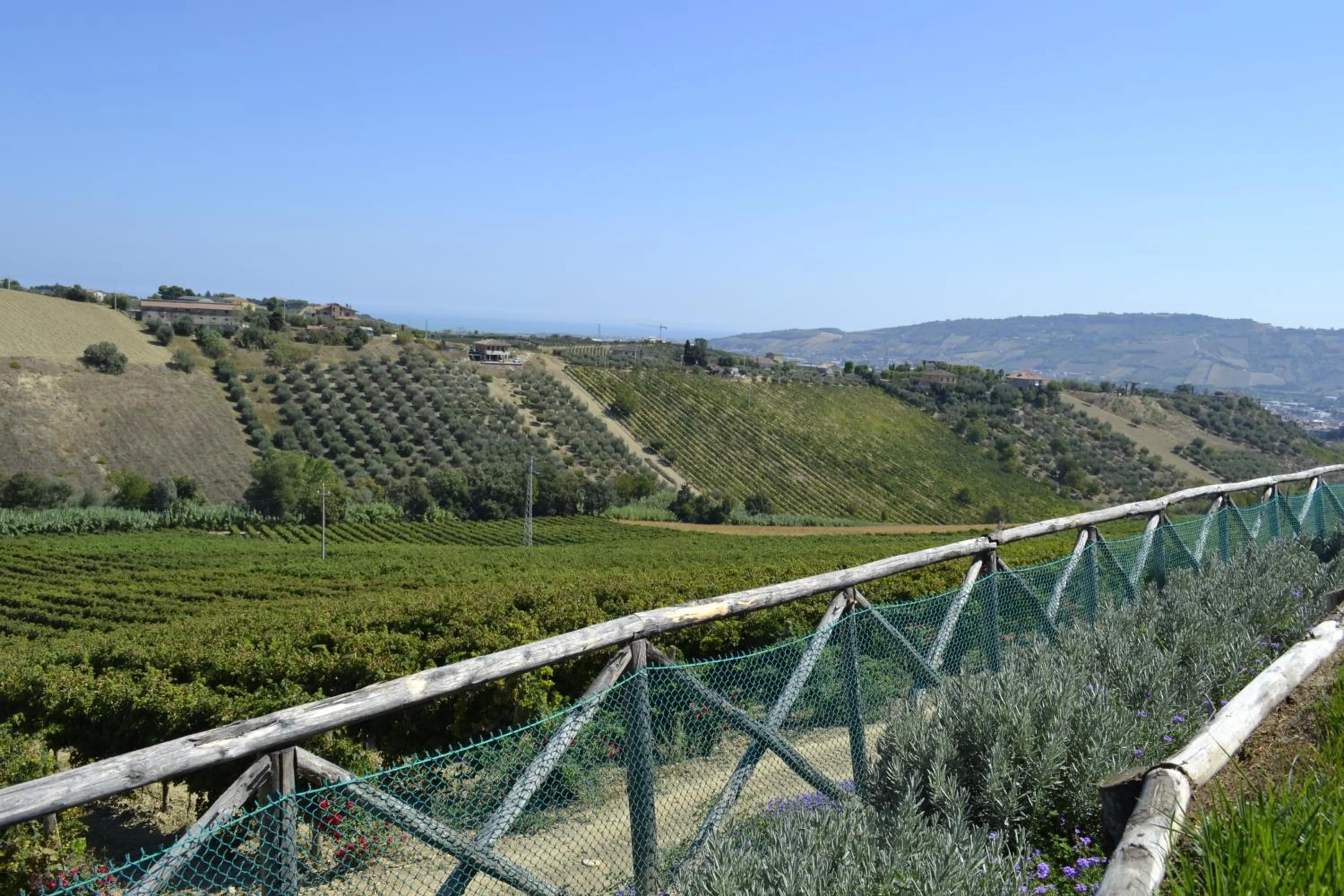 View (from property/room) in Agriturismo Il Sapore Della Luna