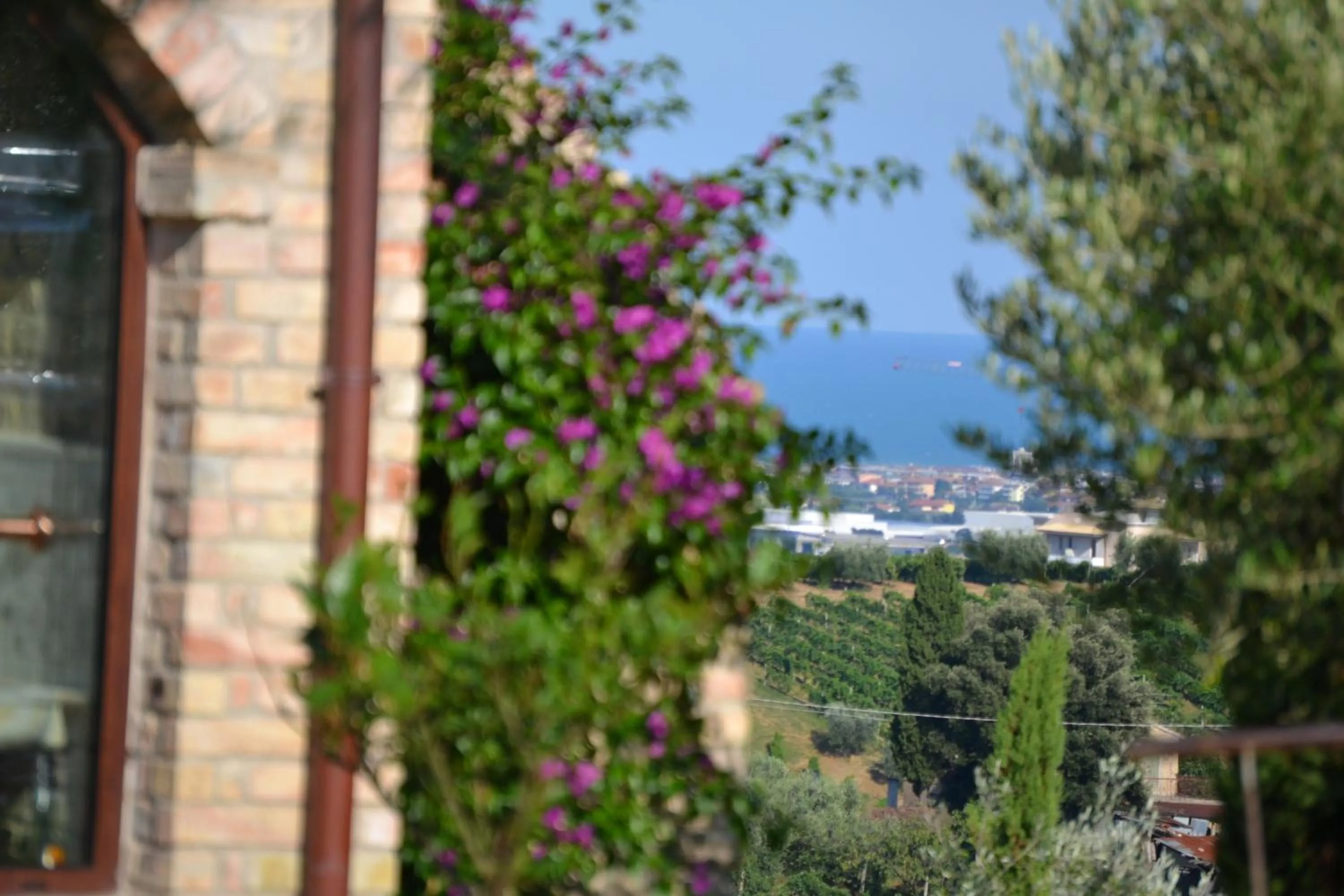 Area and facilities in Agriturismo Il Sapore Della Luna