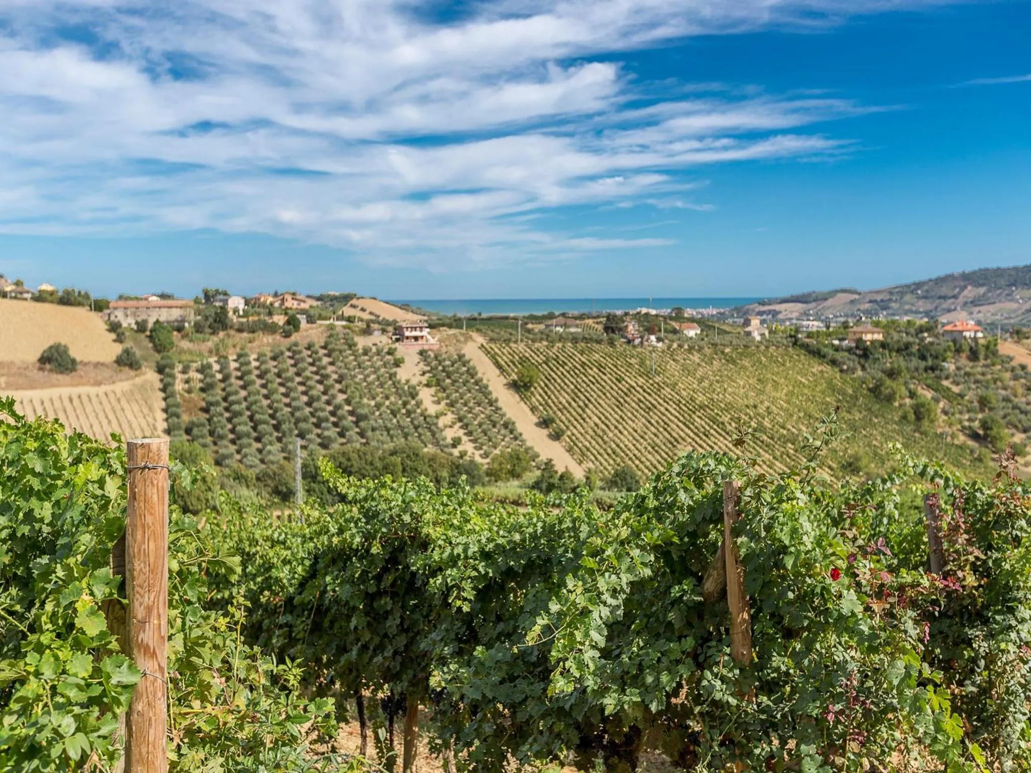 Day in Agriturismo Il Sapore Della Luna