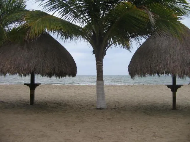 Hostal Roldan
