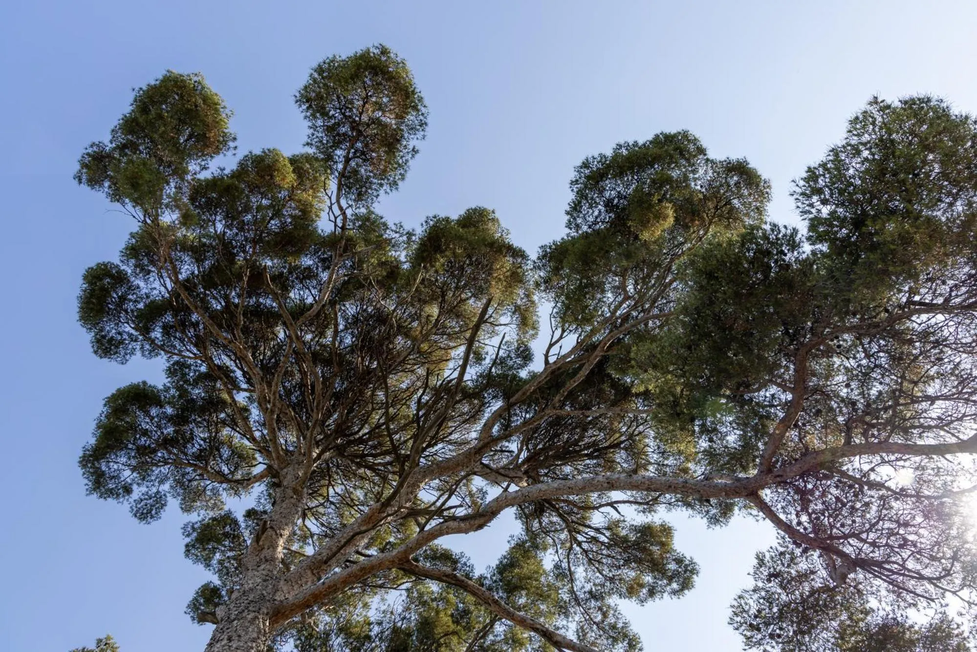 Natural landscape in The Originals City, Hôtel Côté Sud, Marseille Est