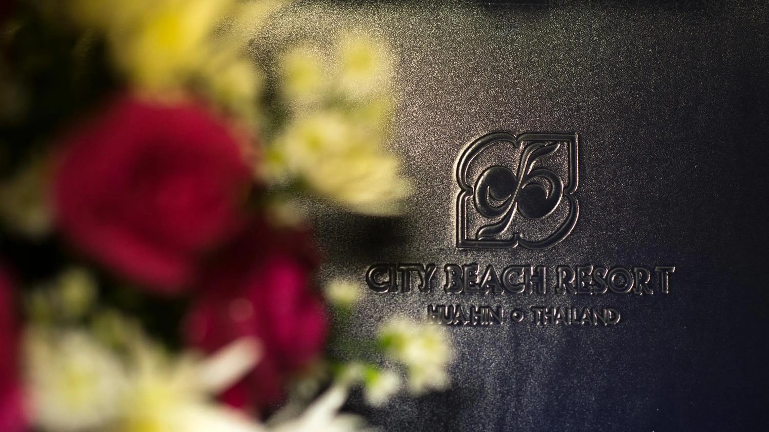 Logo/Certificate/Sign in City Beach Resort