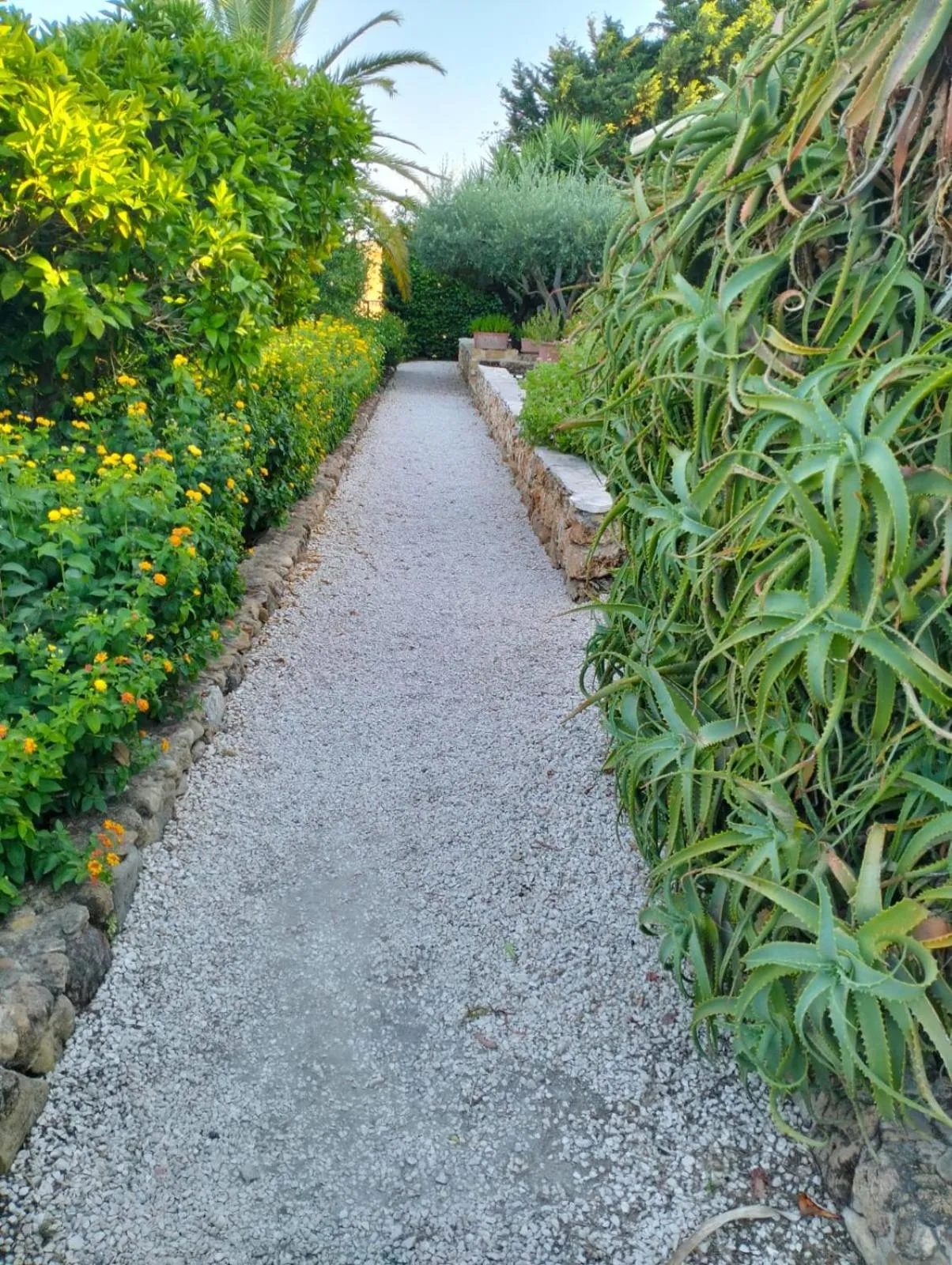 Hotel Foresteria Baglio Della Luna