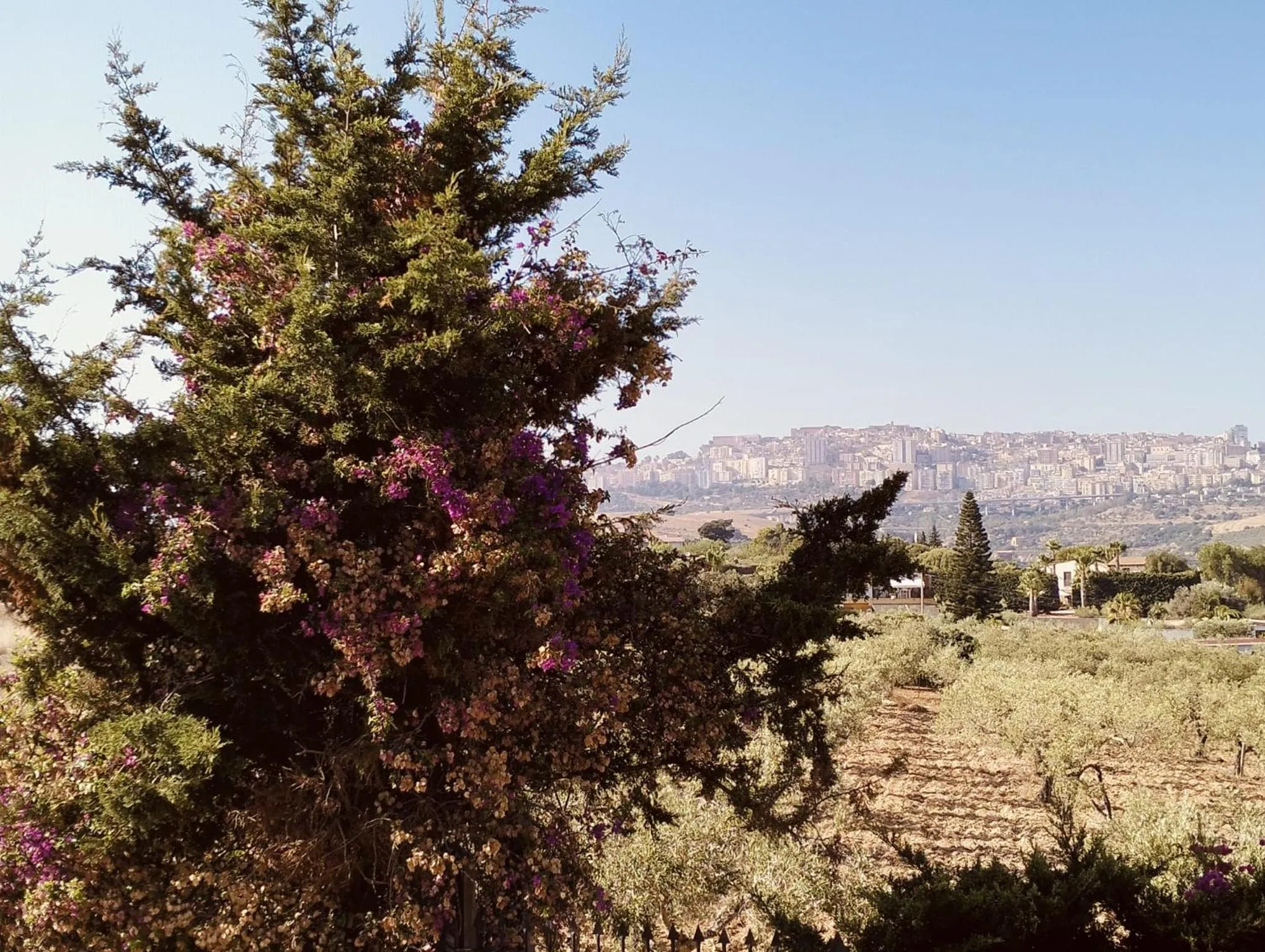Hotel Foresteria Baglio Della Luna