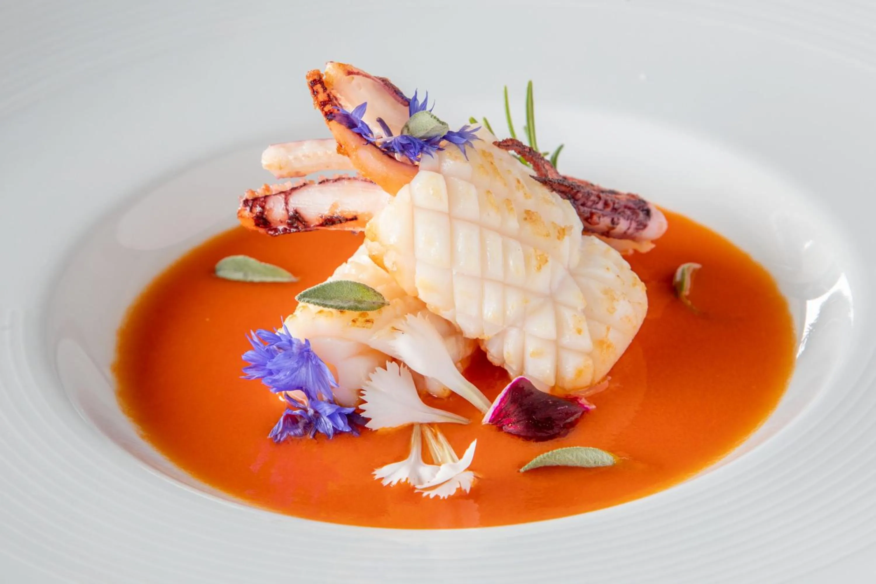 Restaurant/places to eat in Hotel Miramare