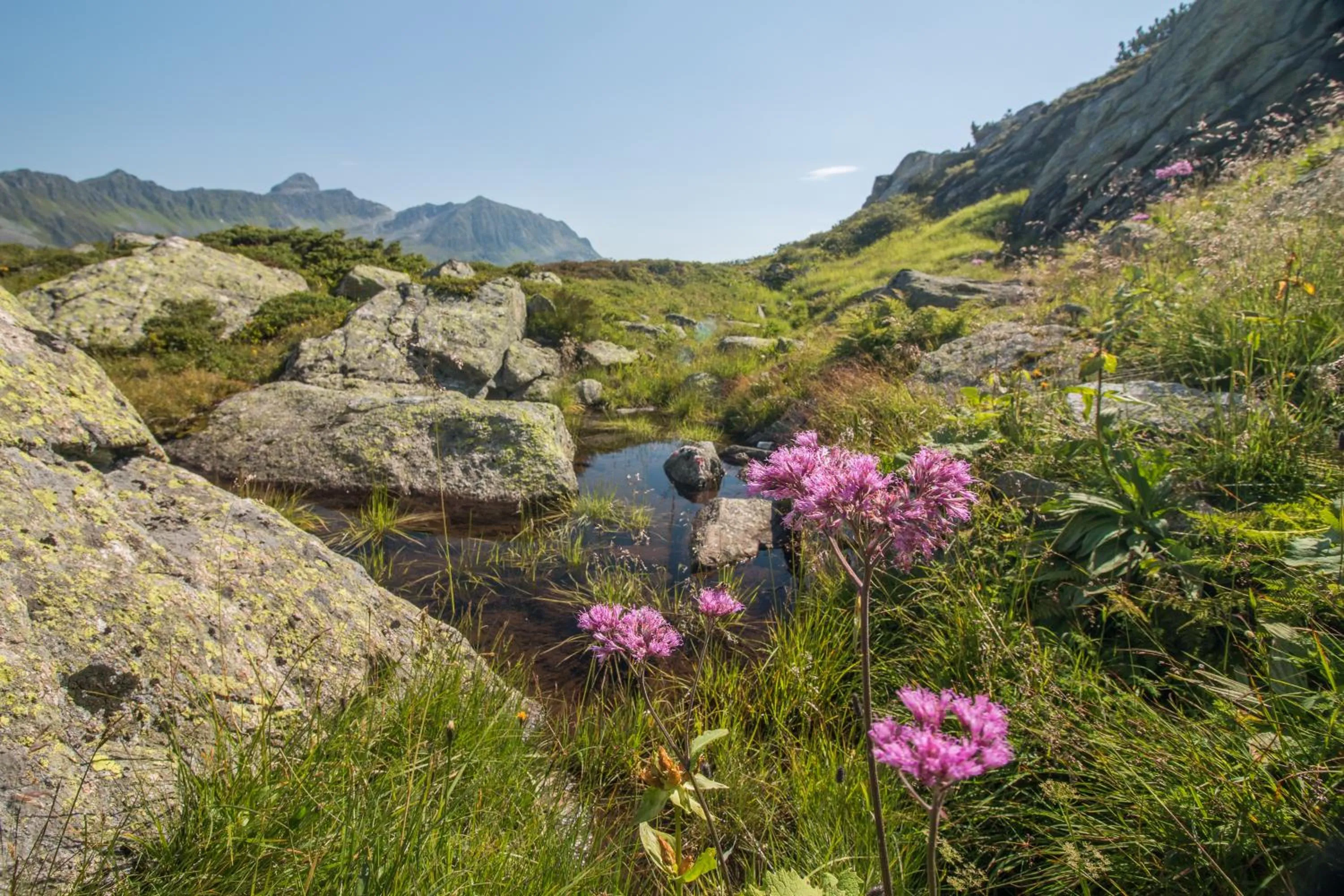 Natural landscape in Hotel Bradabella - Montafon