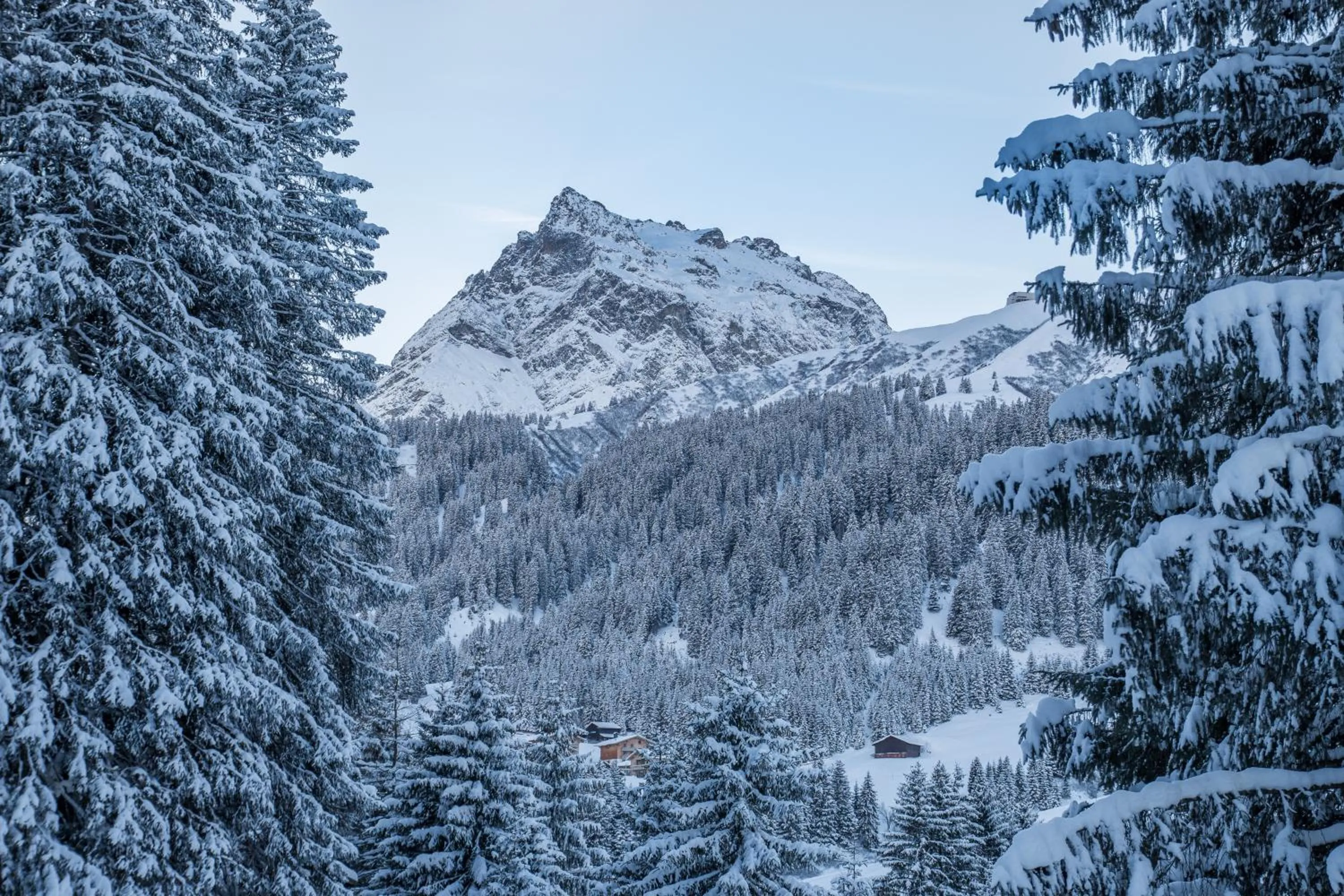 Natural landscape in Hotel Bradabella - Montafon