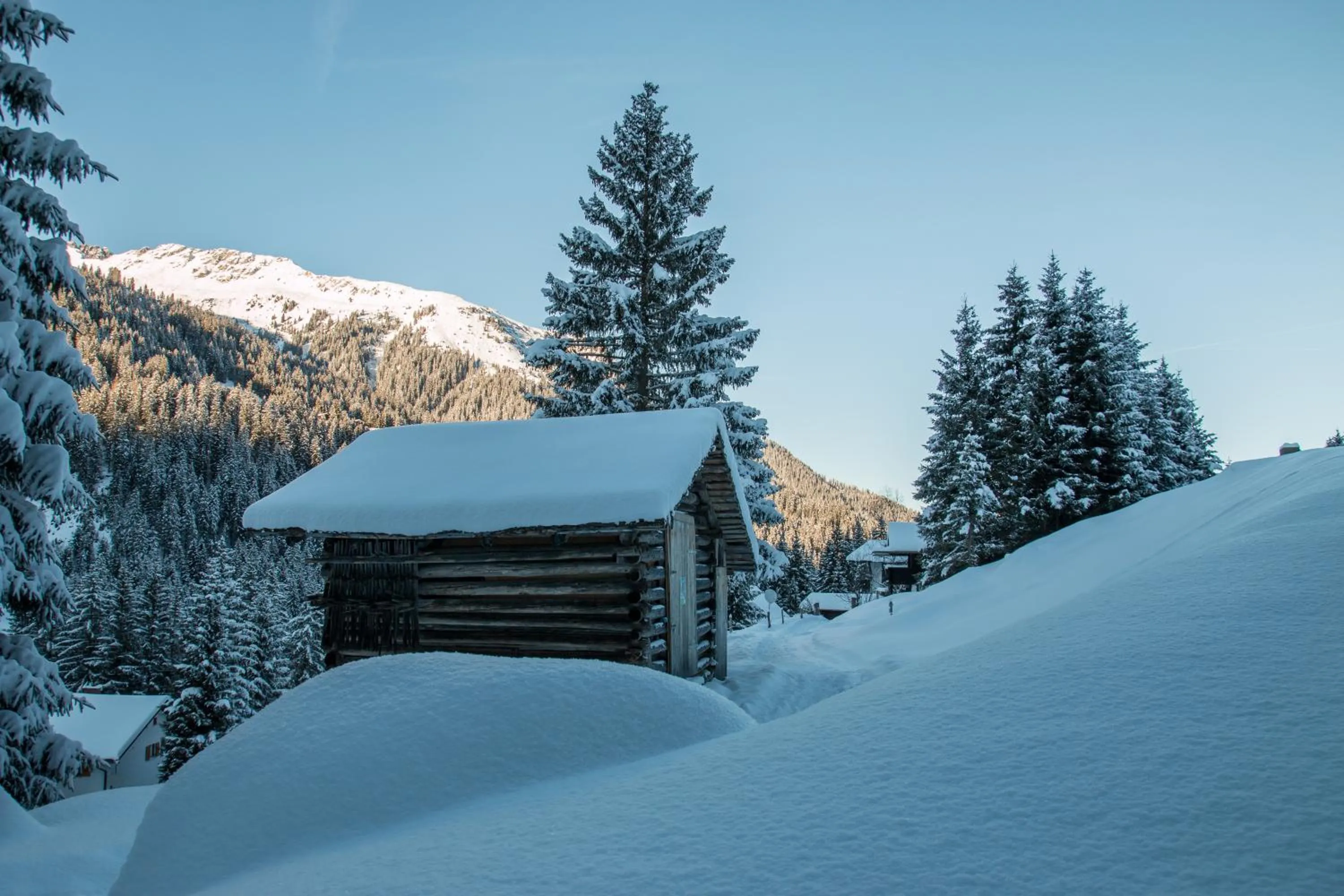 Winter in Hotel Bradabella - Montafon