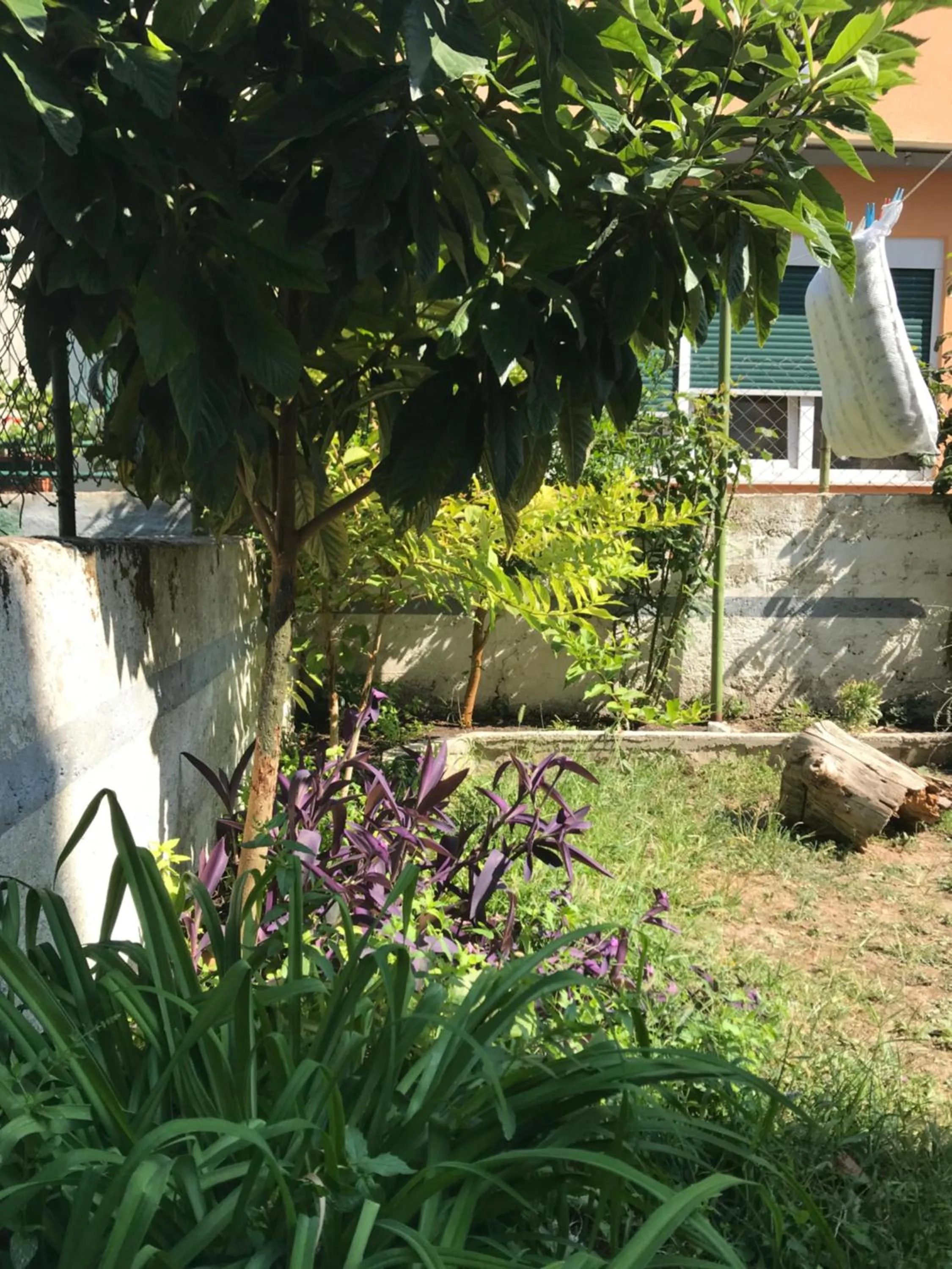 Patio in Nirvana Rooms & Apartments