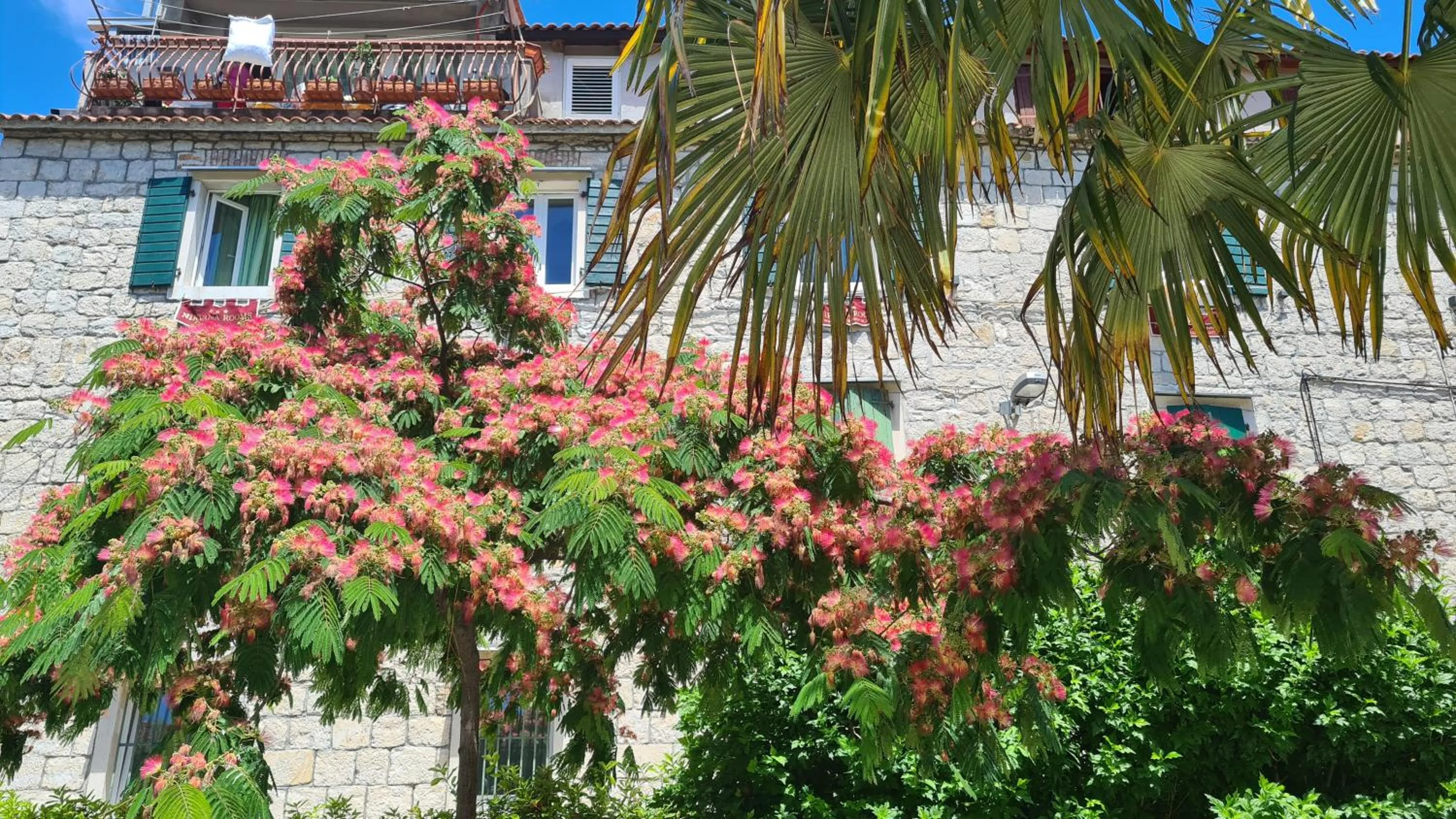 Neighbourhood in Nirvana Rooms & Apartments