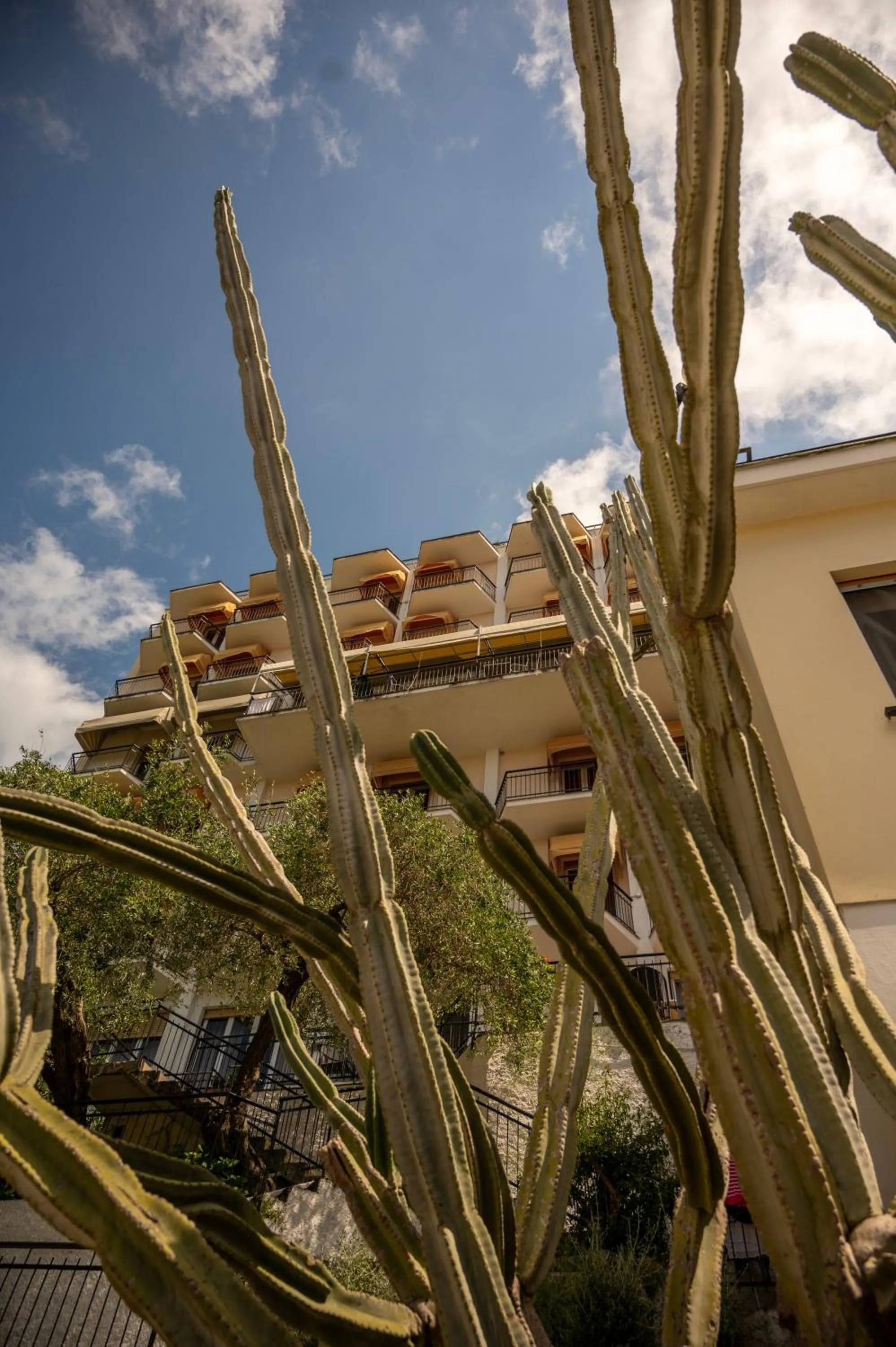 Property building in Hotel Mediterraneo