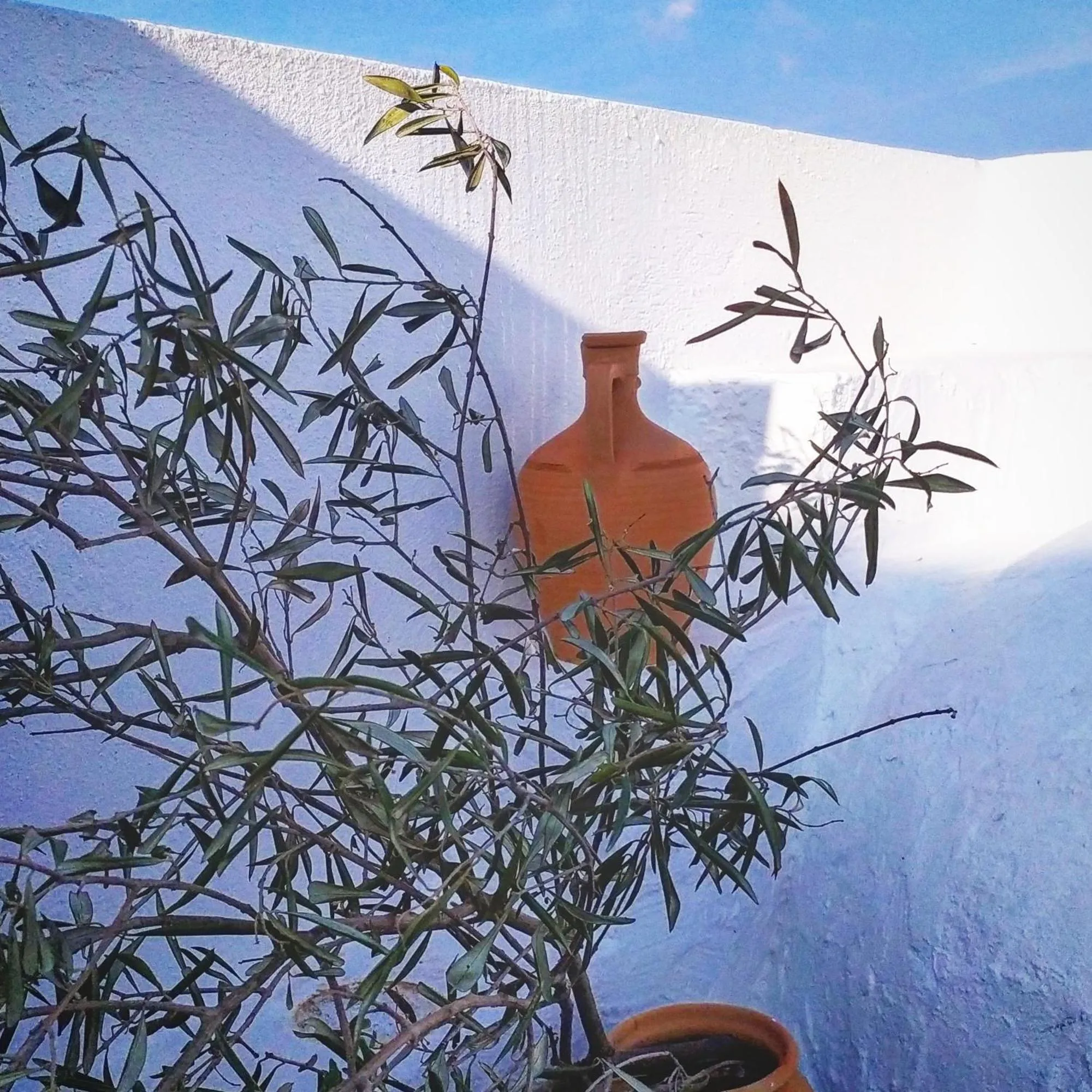 Natural landscape in Nautilus Beach House