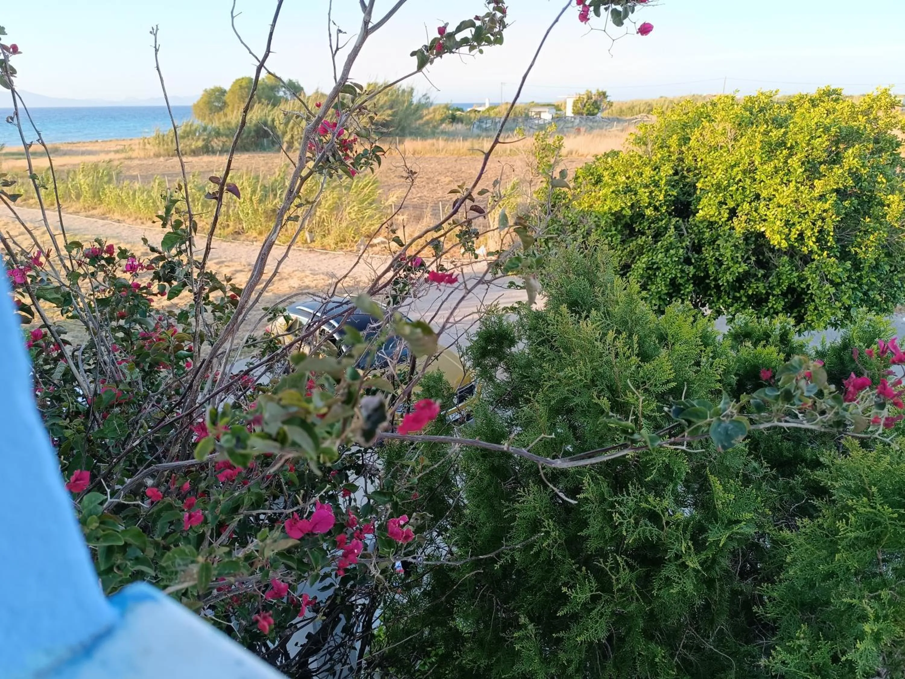 Nautilus Beach House