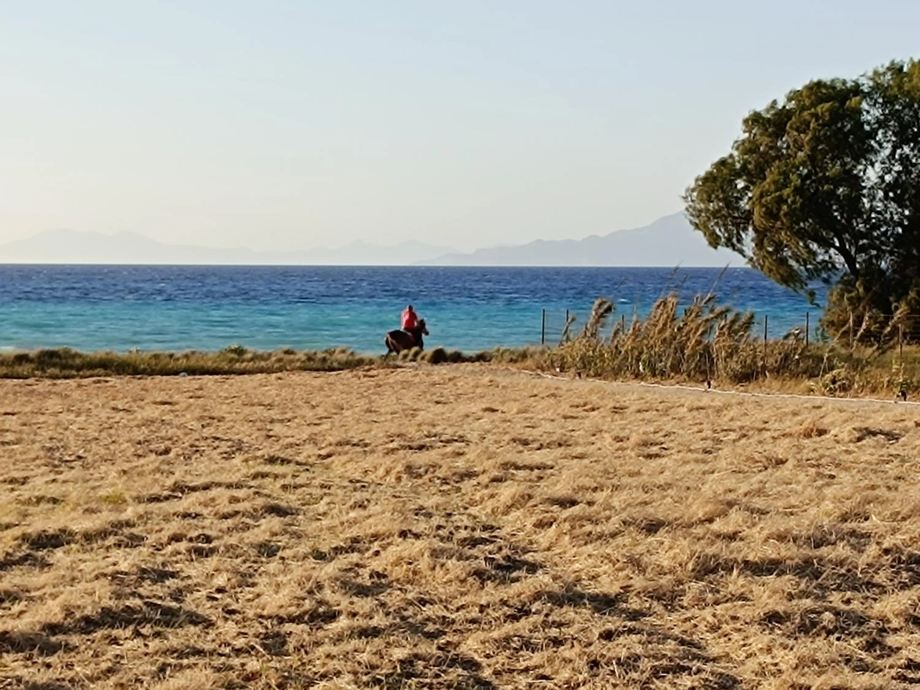 Nautilus Beach House