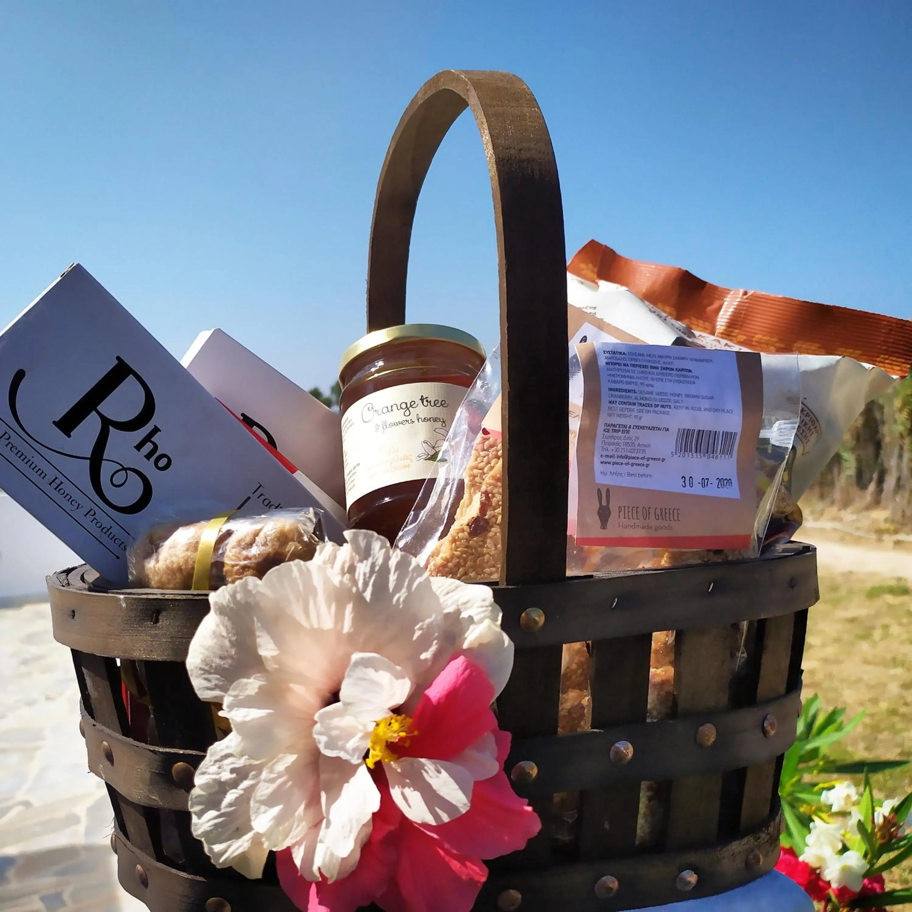 Spring in Nautilus Beach House